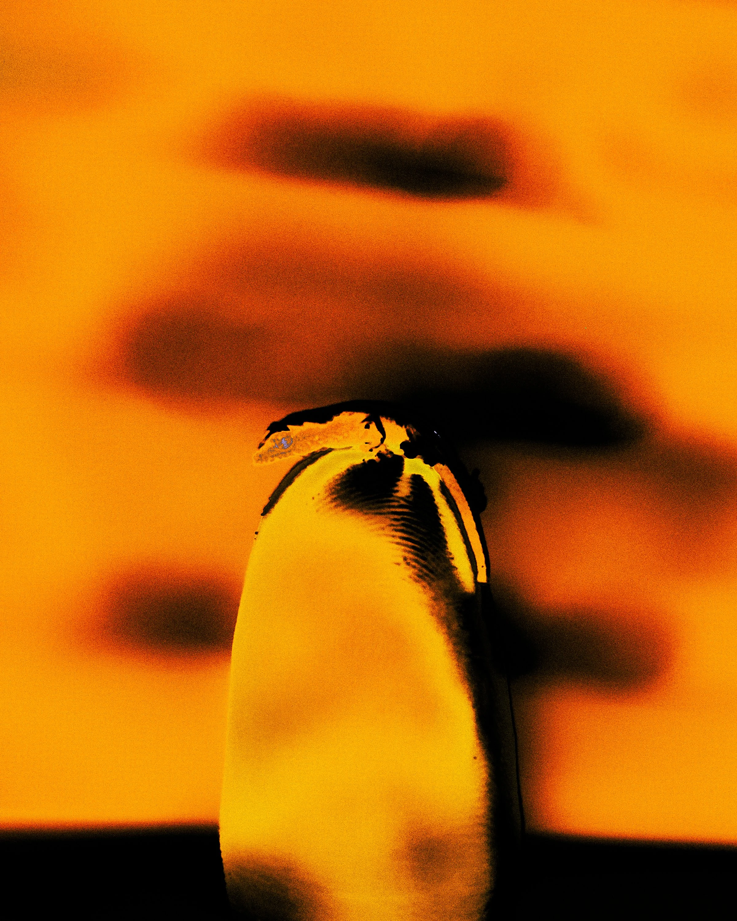 05_COMBUSTIONS_THEO-SCHORNSTEIN.jpg