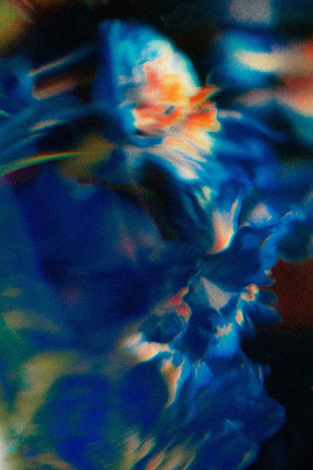 THEO_SCHORNSTEIN_LE-SOUPIR-DES-FLEURS_10.jpg