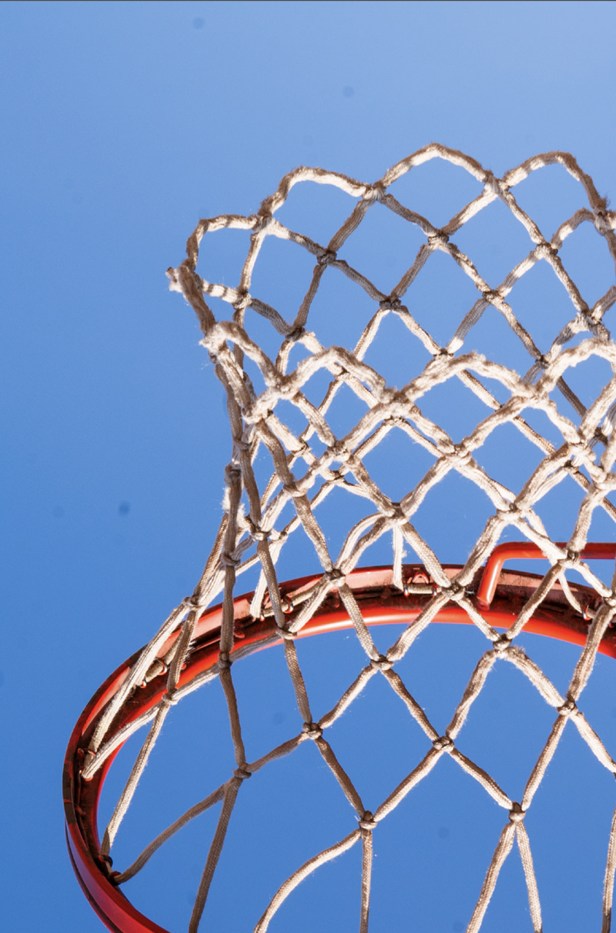 Capture d’écran 2026-01-29 à 14.53.58.png