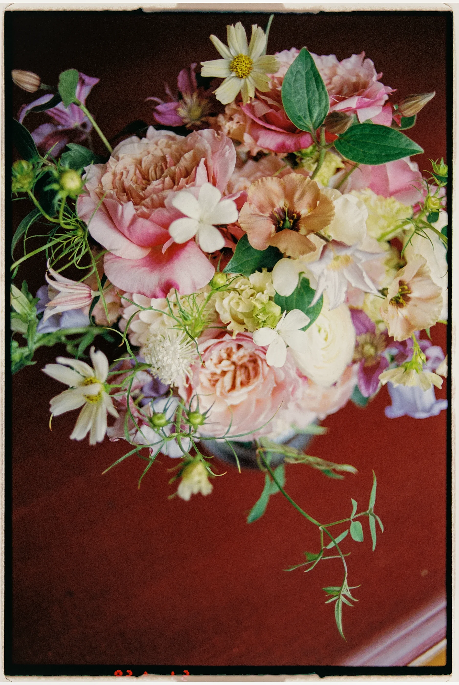 Elodie Nizon 0289 15.webp