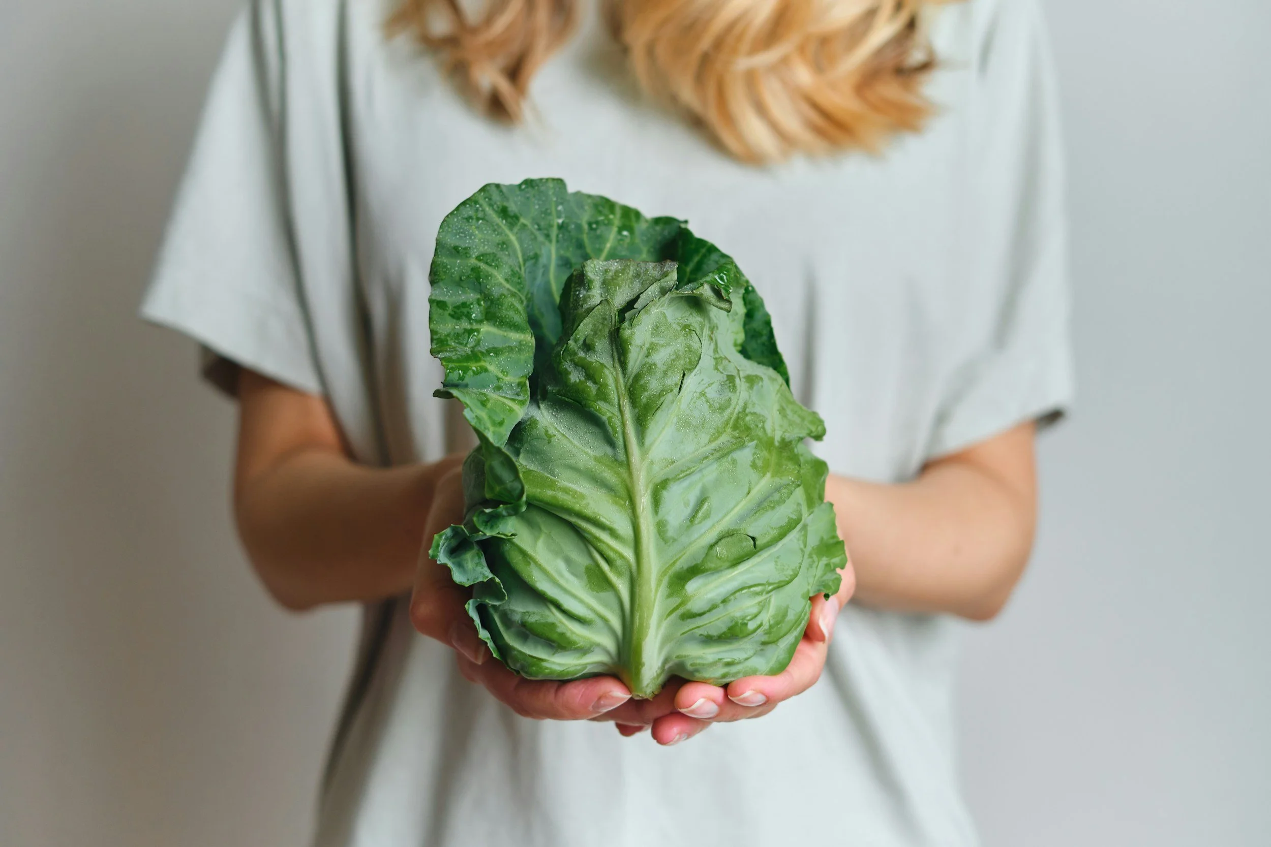 Healing with Whole Foods by Paul Pitchford: The Book I Think Everyone Should Have at Home
