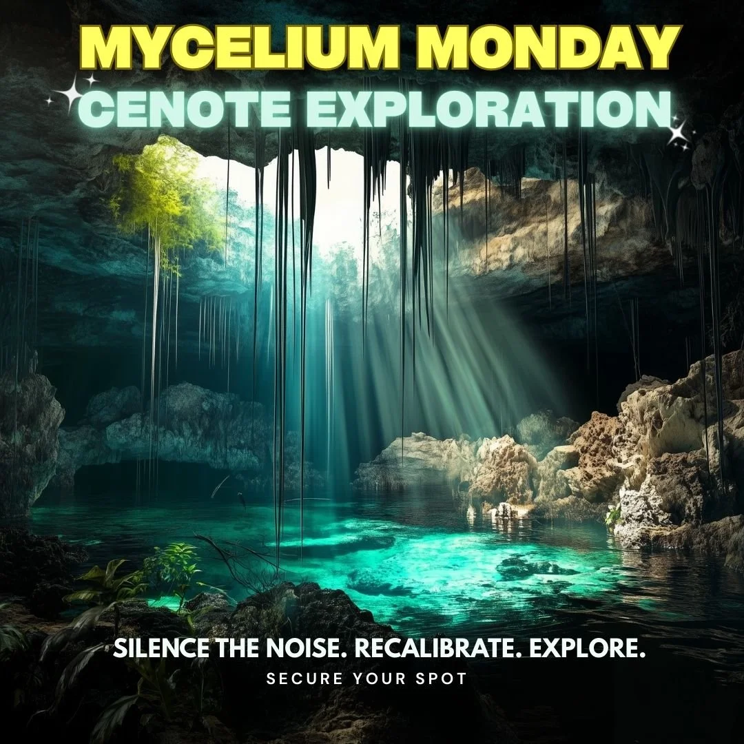 Cenote Exploration