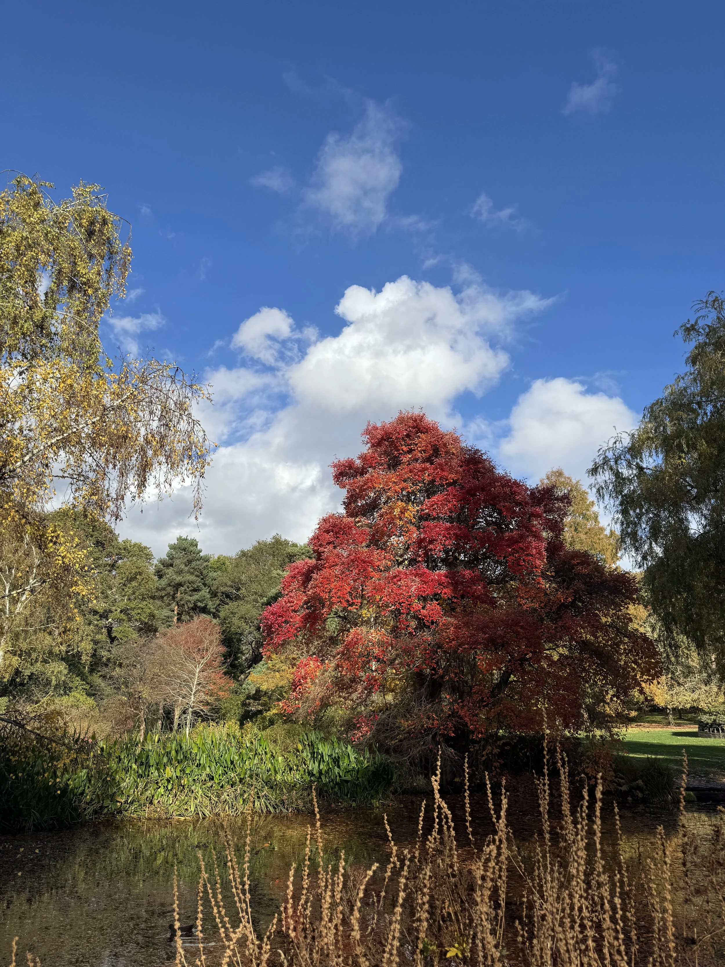 Client review - Kingston Pilates Class