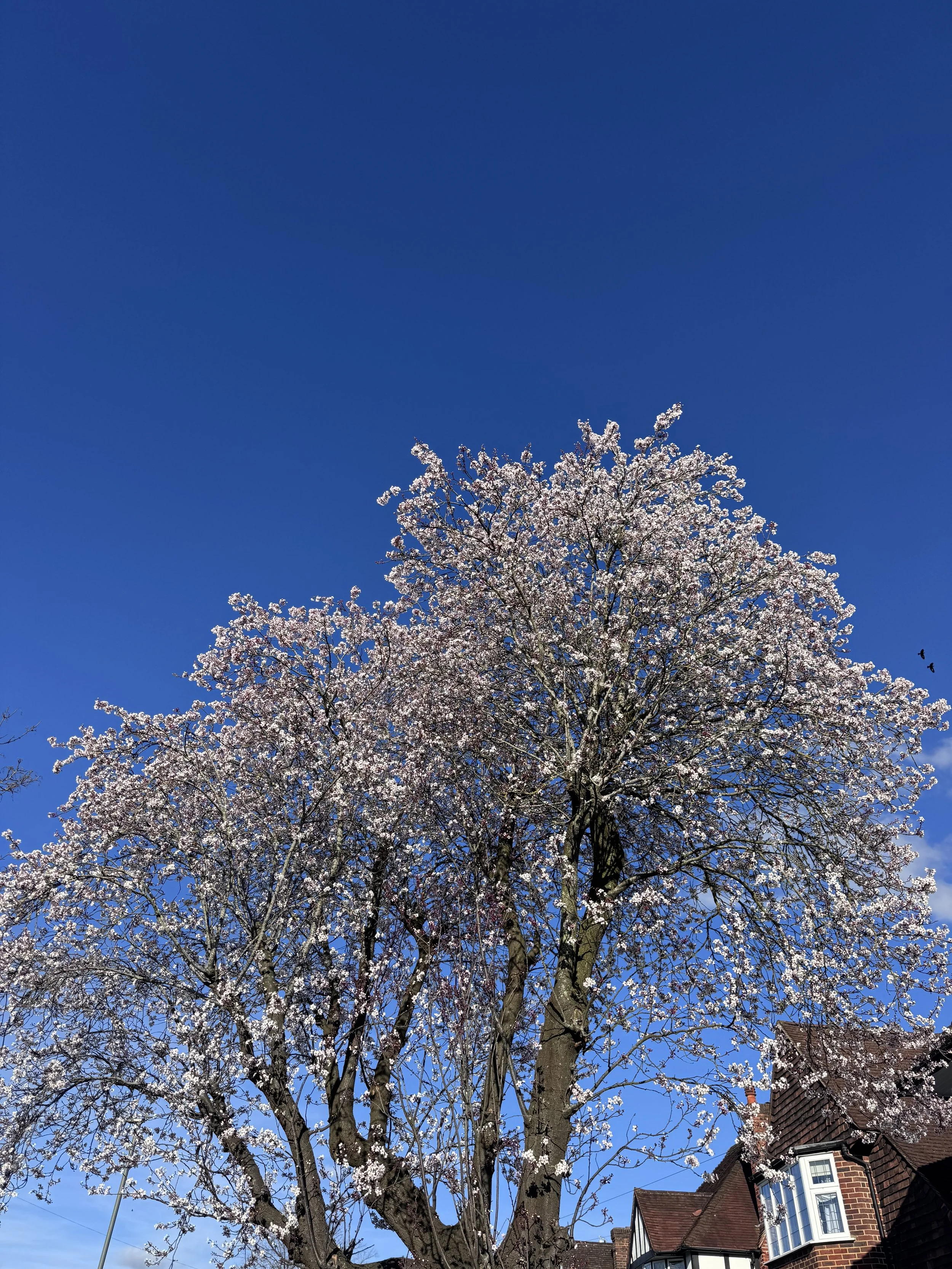 Testimonial - Mixed Abilities Barnes Pilates Class