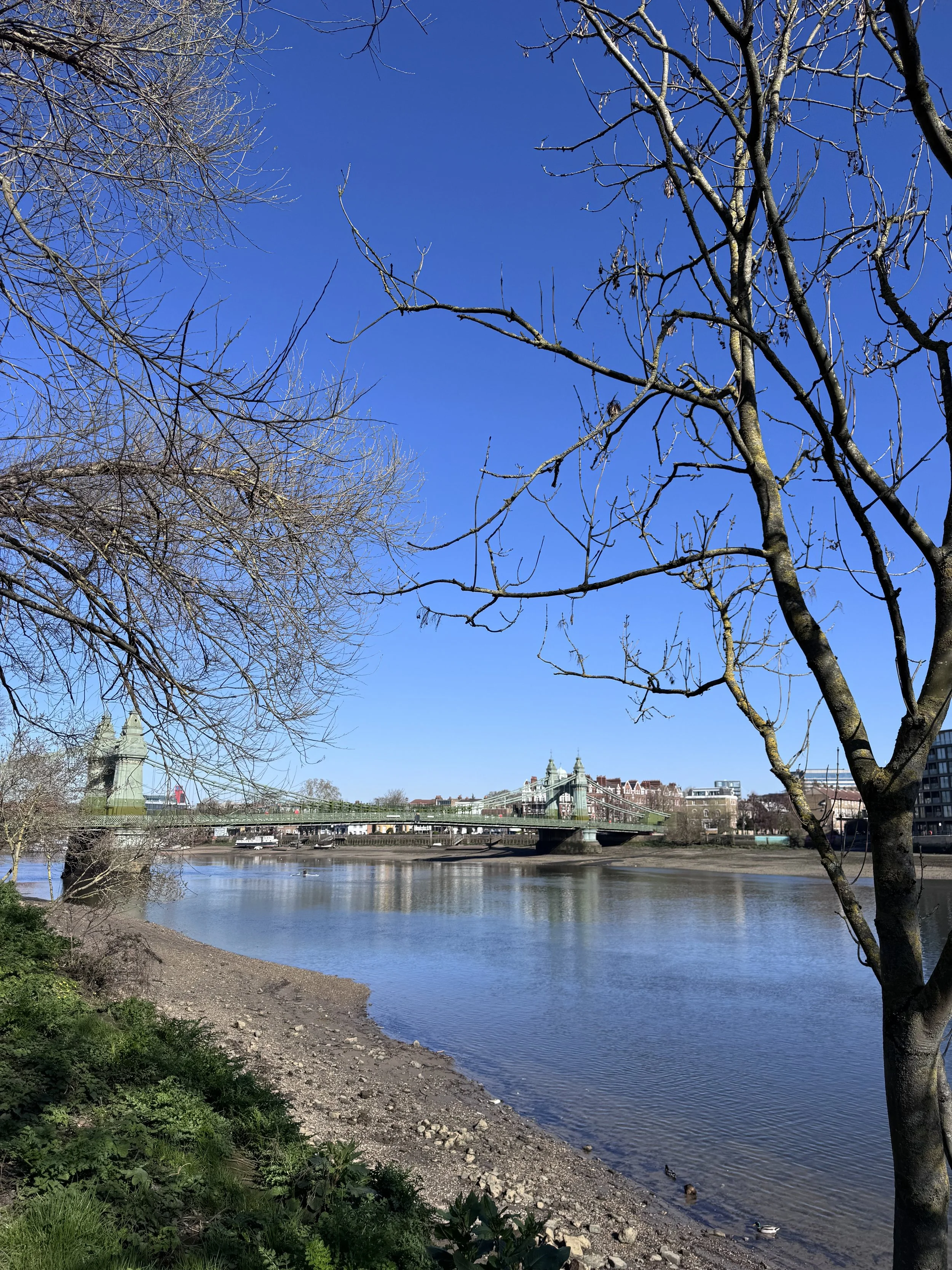 Testimonial - Mixed Abilities Barnes Pilates Class