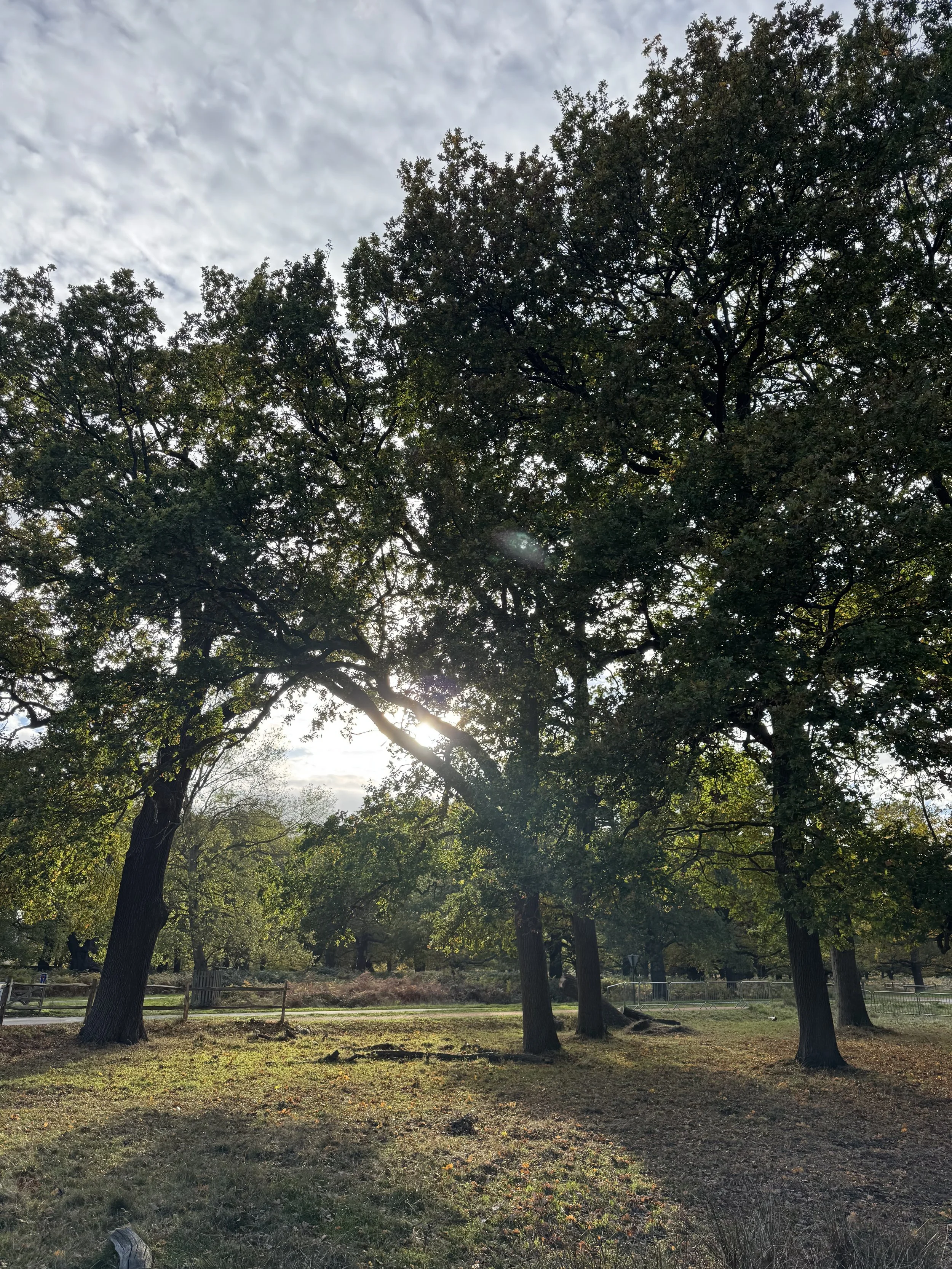 Client review - Kingston Pilates Class