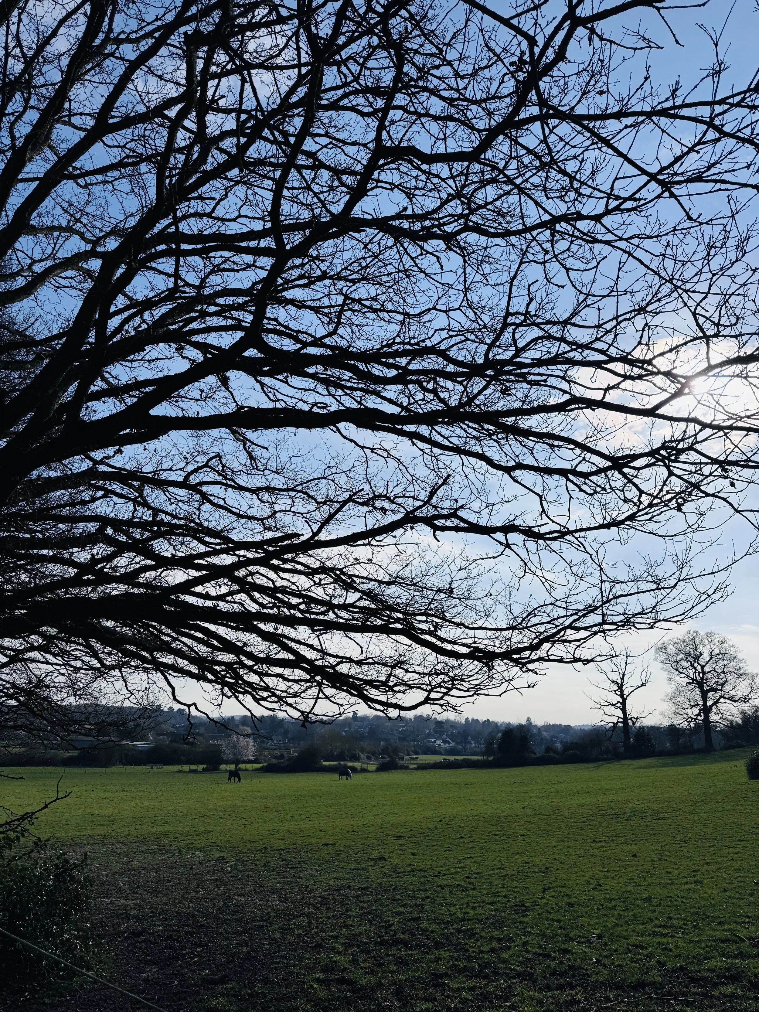 Testimonial - Mixed Abilities Barnes Pilates Class