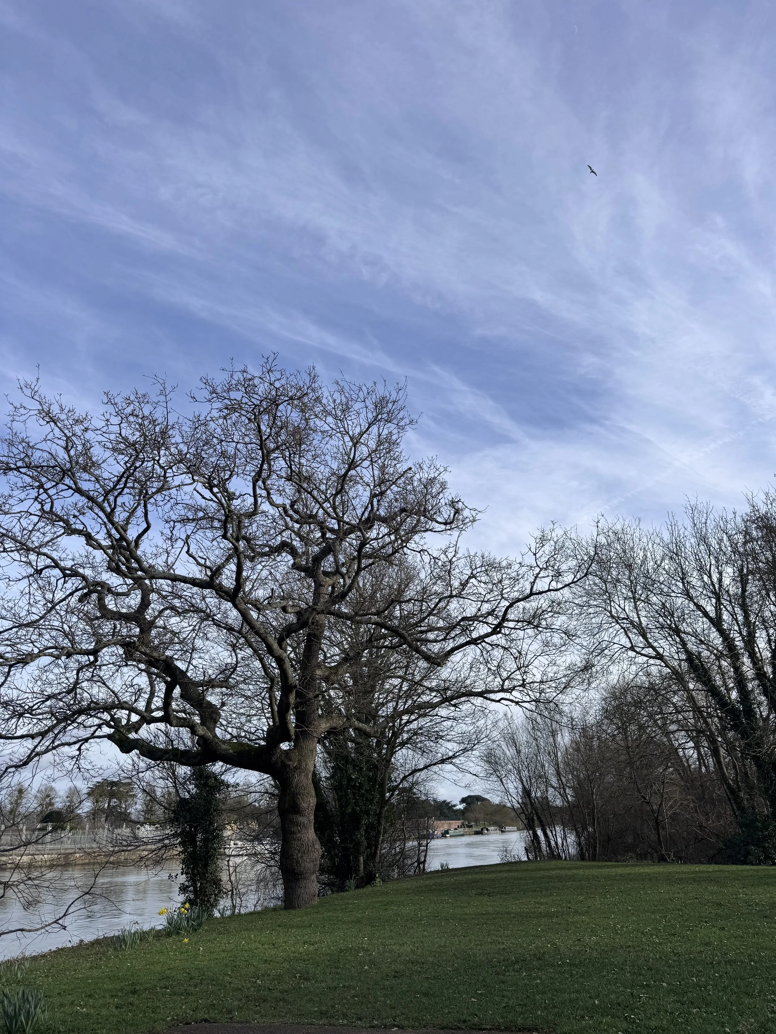 Testimonial - Mixed Abilities Barnes Pilates Class