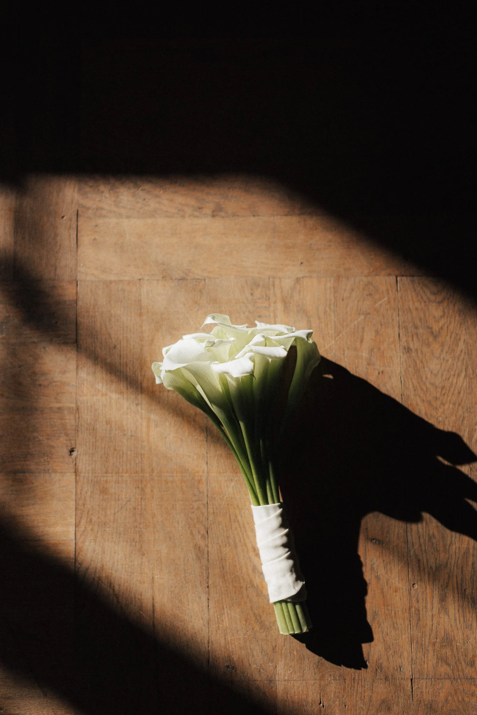 Weiße Blumen, die auf einem Holzboden liegen, im Schatten mit Sonnenlicht, Nahaufnahme.
