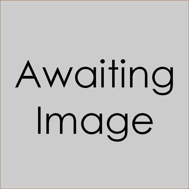 Awaiting-Image.jpg
