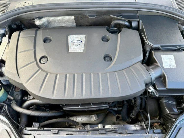 KU6417.jpg