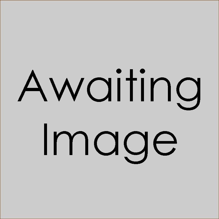Awaiting-Image.jpg