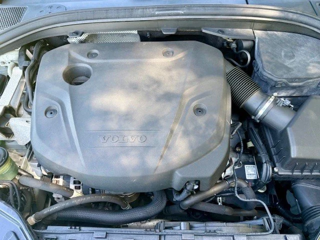 FP6620.jpg