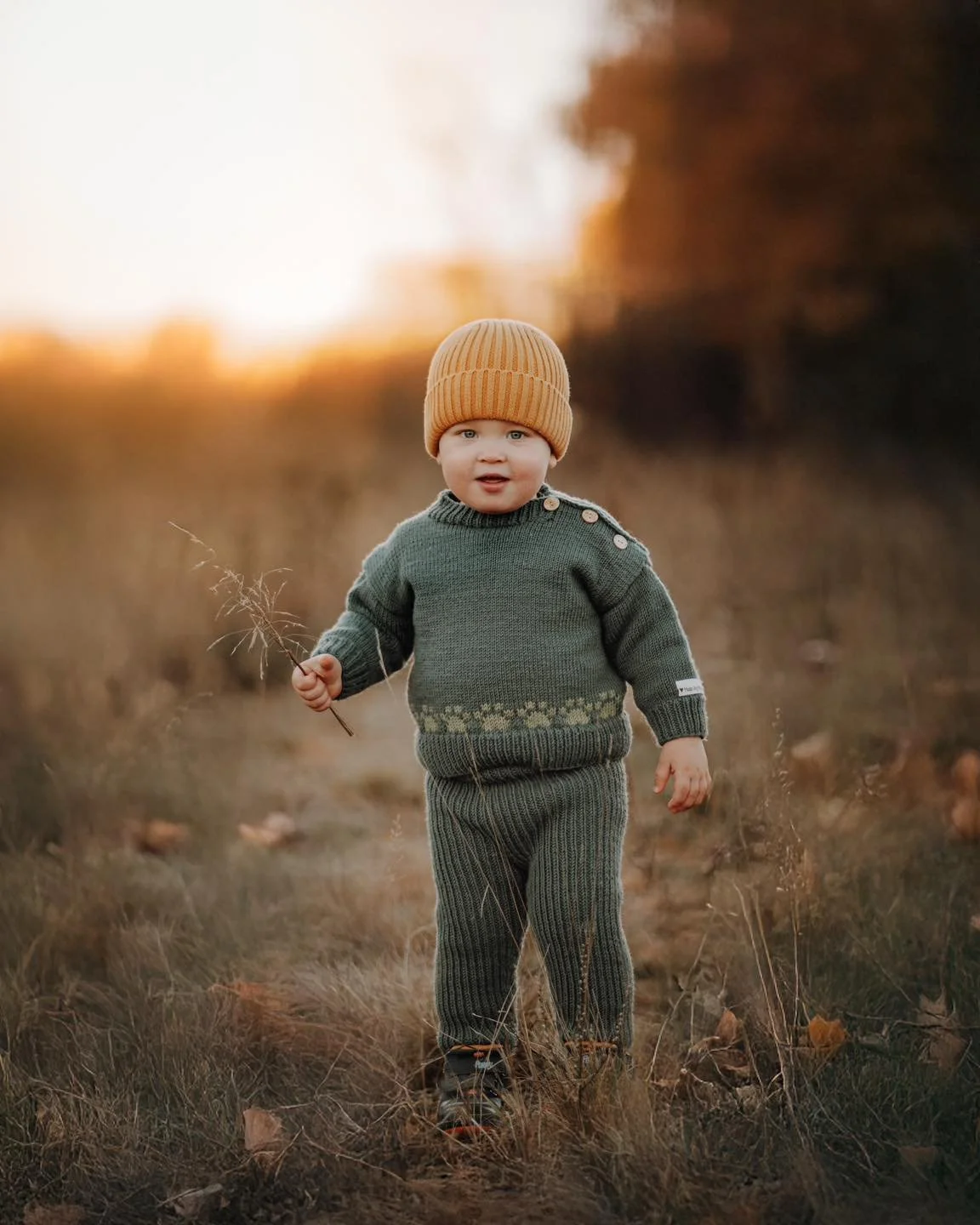 Fineste arvingen som m&aring; stille opp, s&aring; pappa f&aring;r fotografert! Bildet tatt i september, se p&aring; de fargene🍂🥰 #barnefotografering #h&oslash;st #h&oslash;stfarger #fotograf