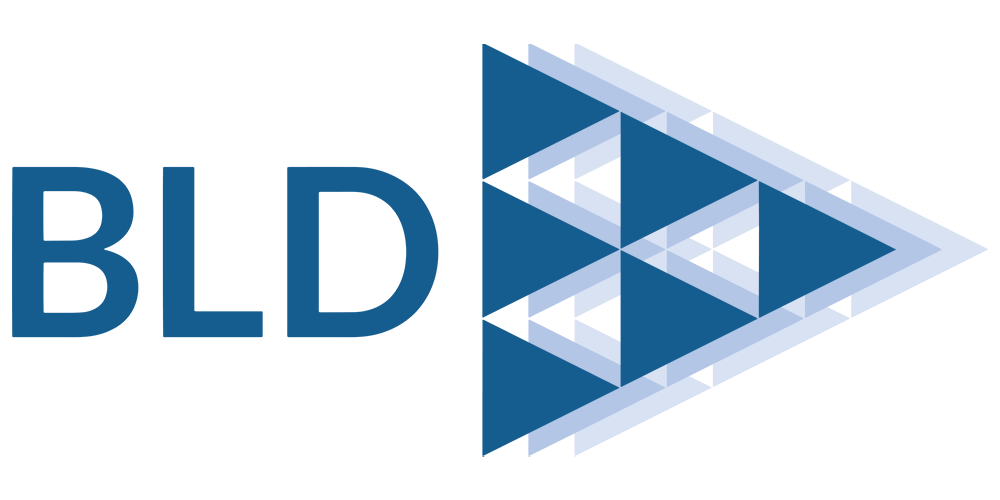 Strengthening Our Digital Capability: Partnership with Blue Lights Digital