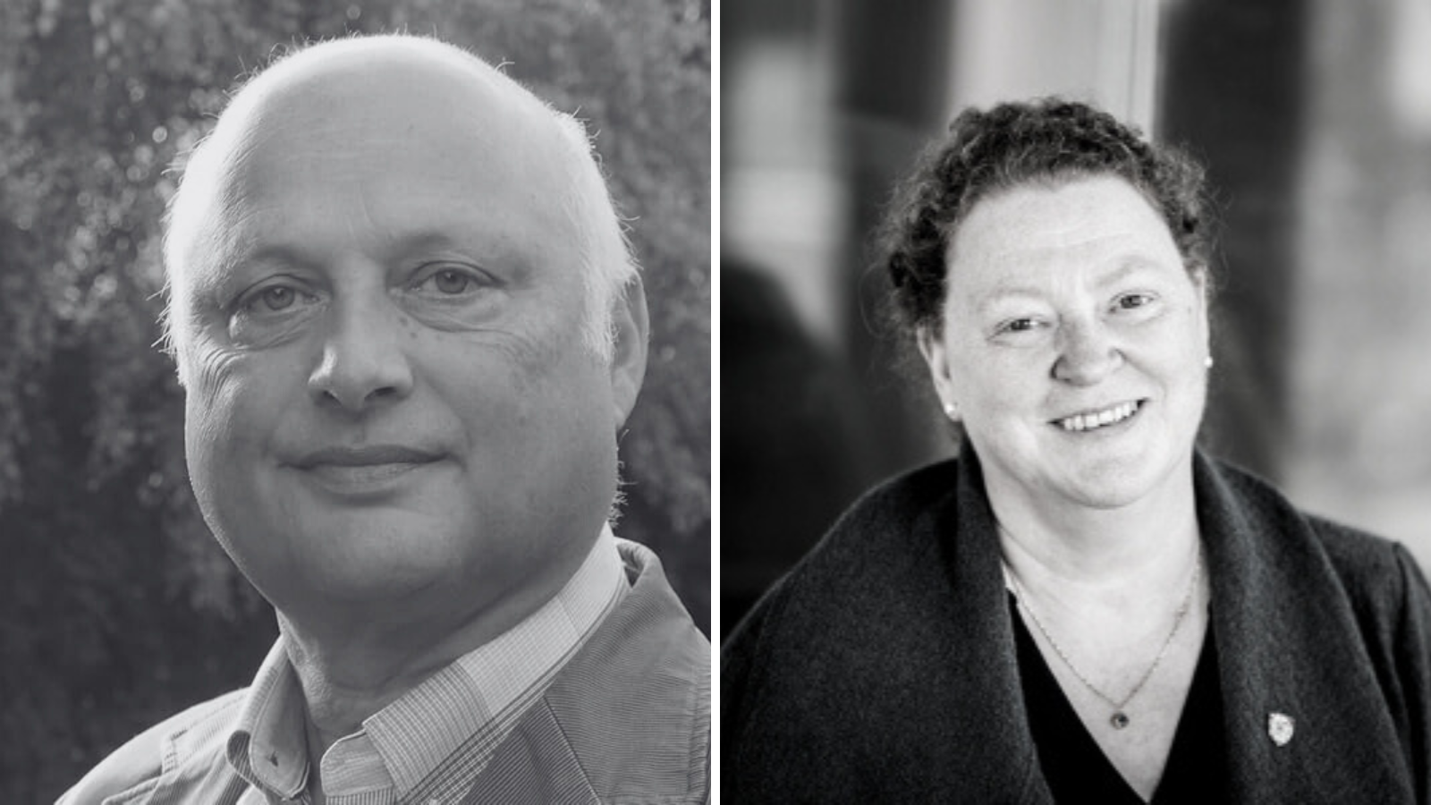 Our Patrons: Expertise That Strengthens Impact