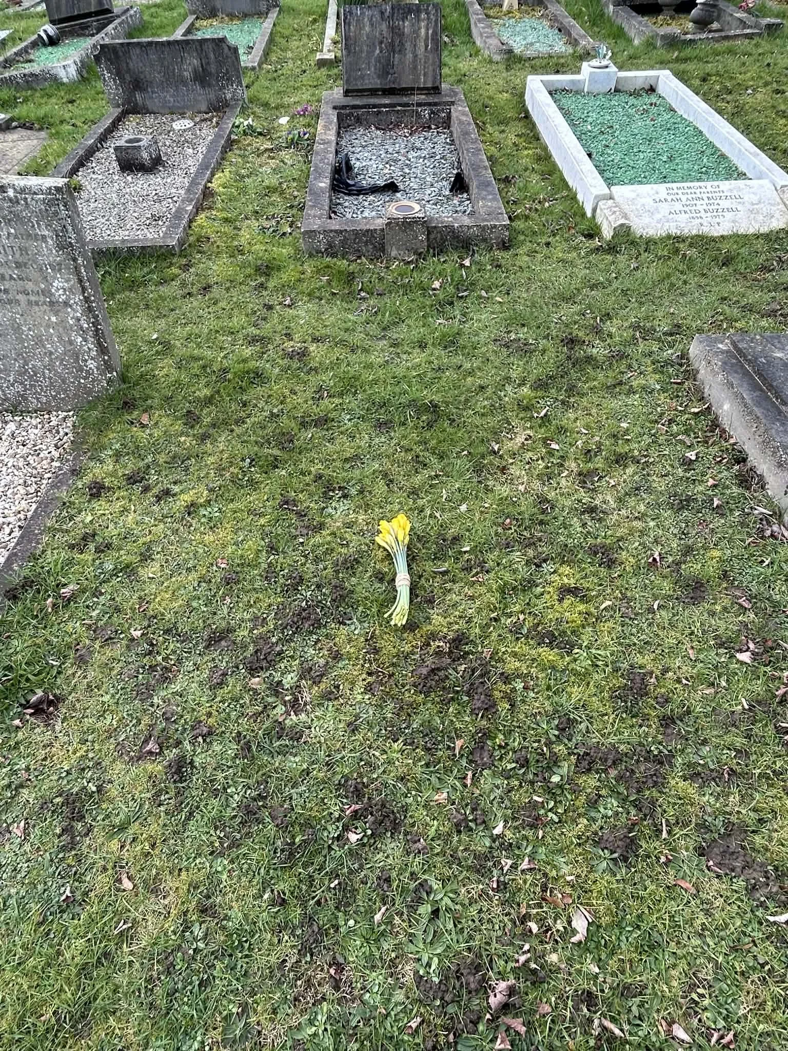 A bunch of daffodils on Baldock Womans unmarked grave