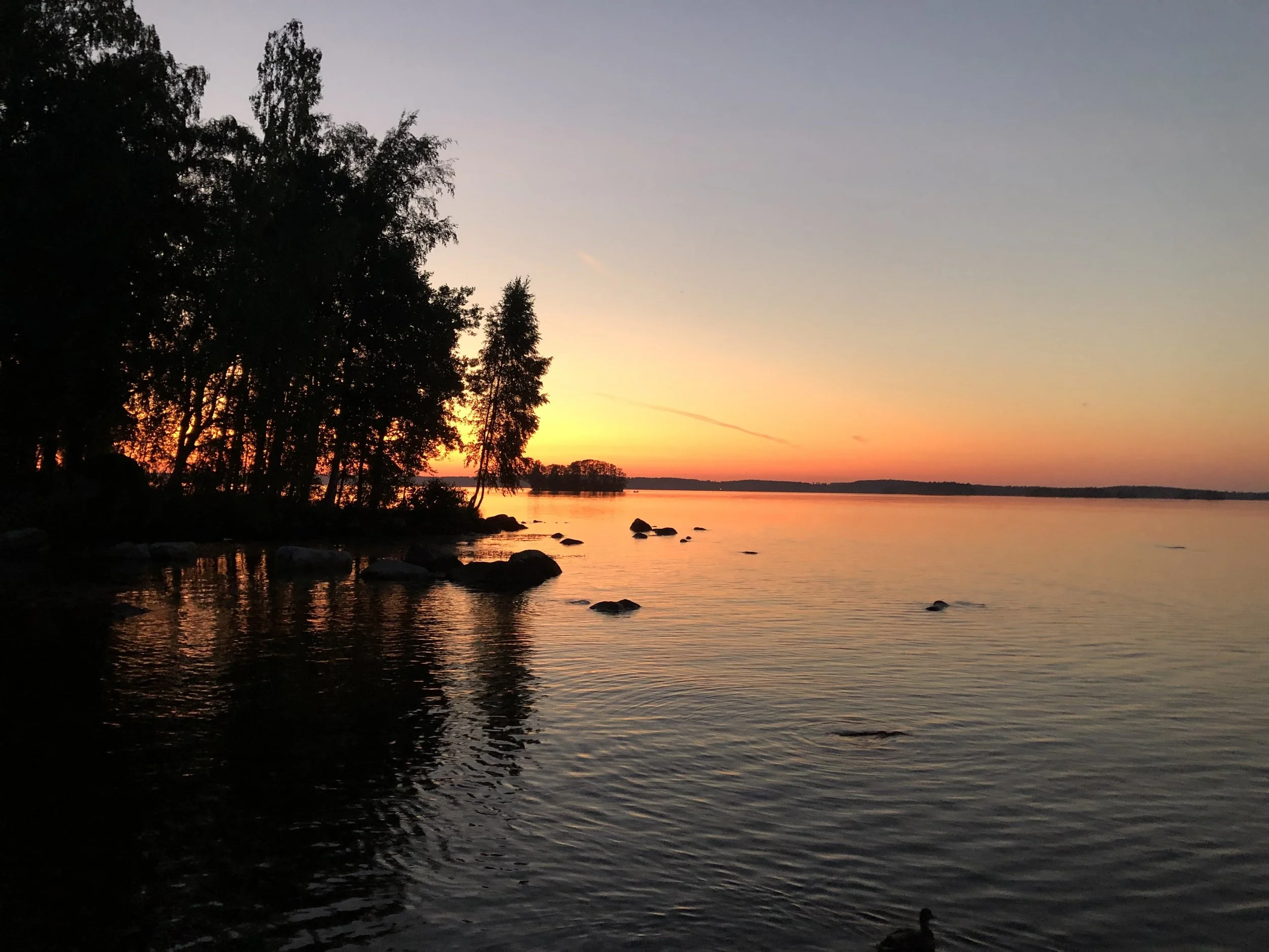 Sunset over a body of water with silhouetted trees along the shoreline and rocks in the water.