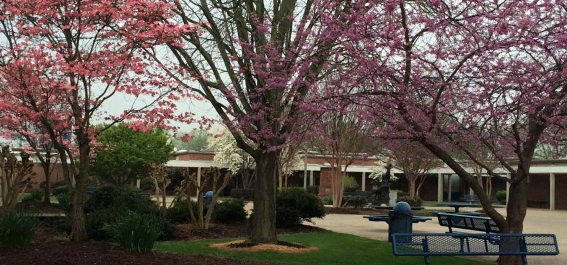 Starmount High School Fellowship of Christian Athletes