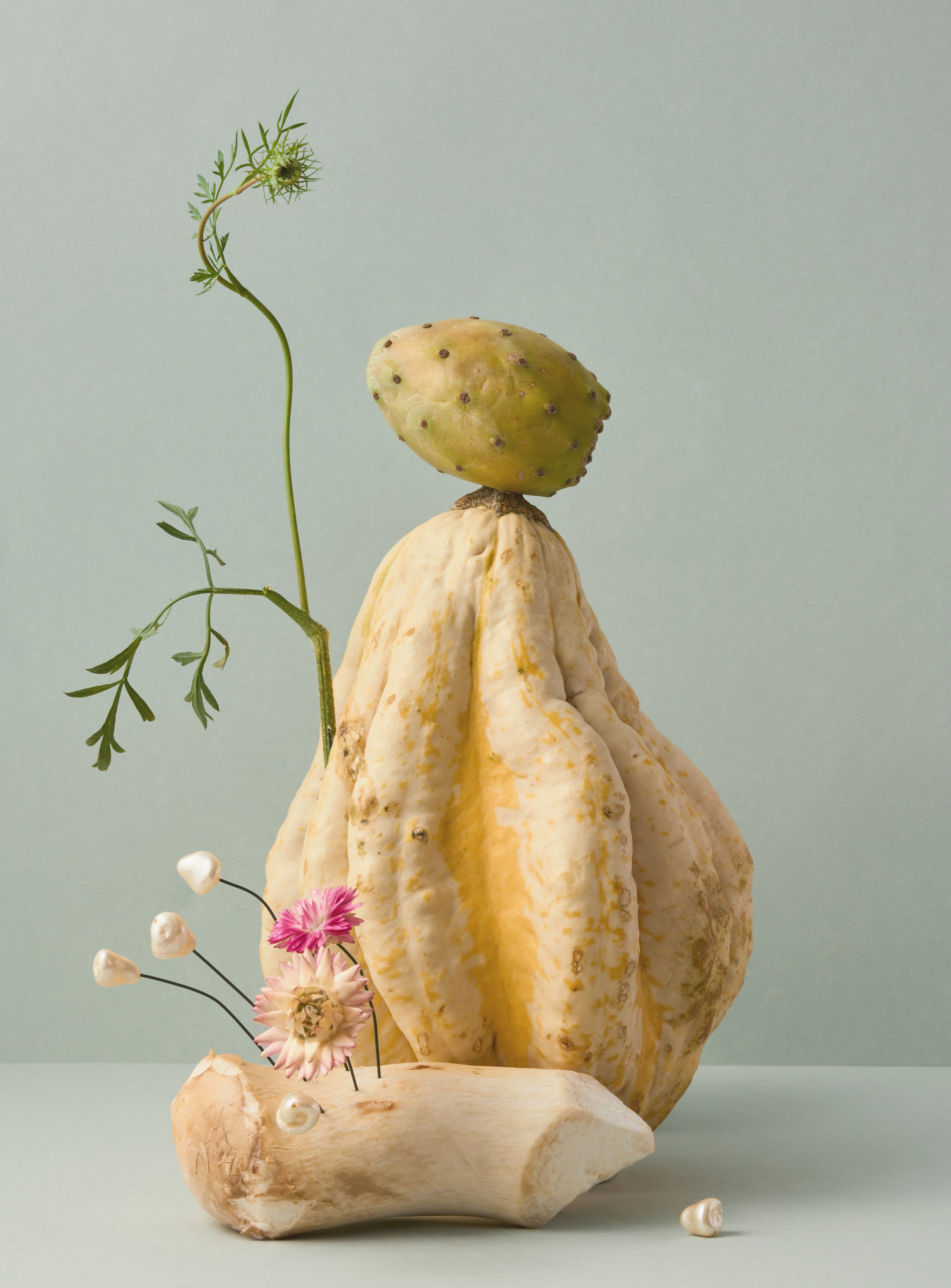 Composizione artistica di un gruppo di frutta e piante, inclusi un fico, un cetriolo, e fiori, disposti su una superficie piana con uno sfondo di colore chiaro.