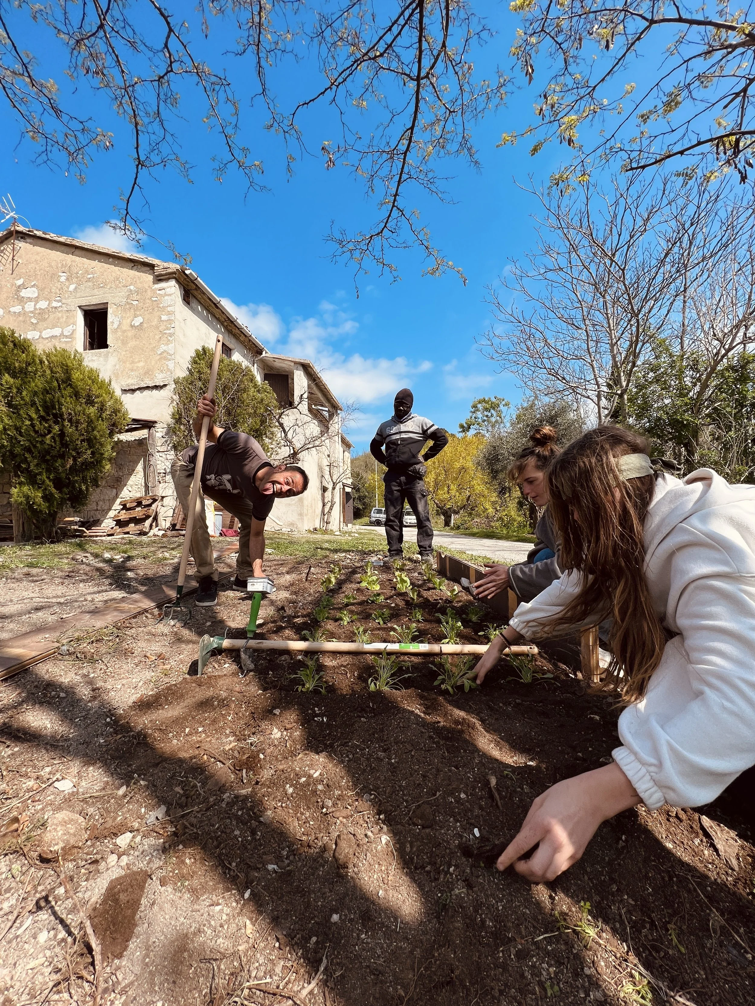 Local Bizzarro Conero Film Adv Festival
