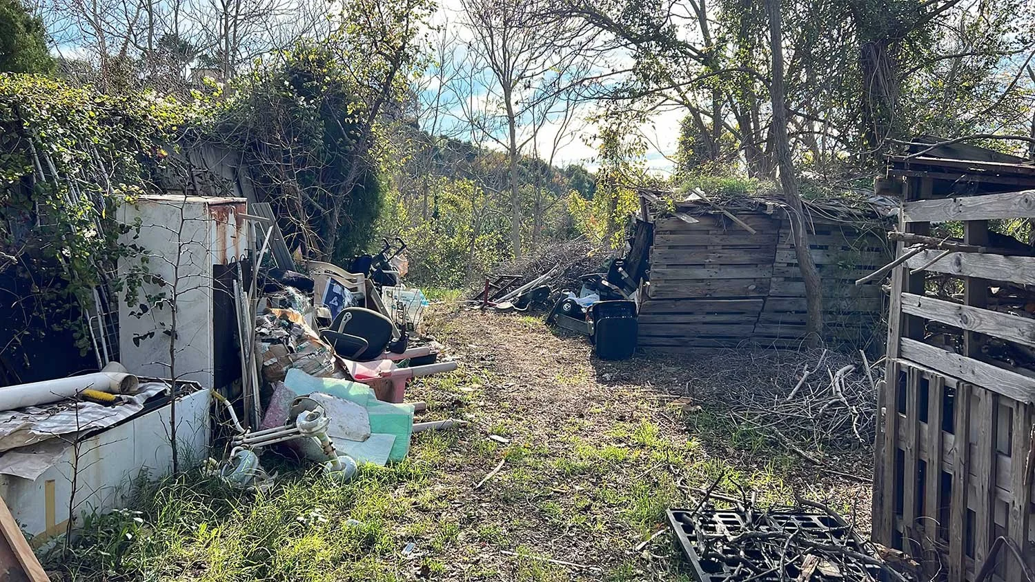 Local Bizzarro Conero Film Adv Festival