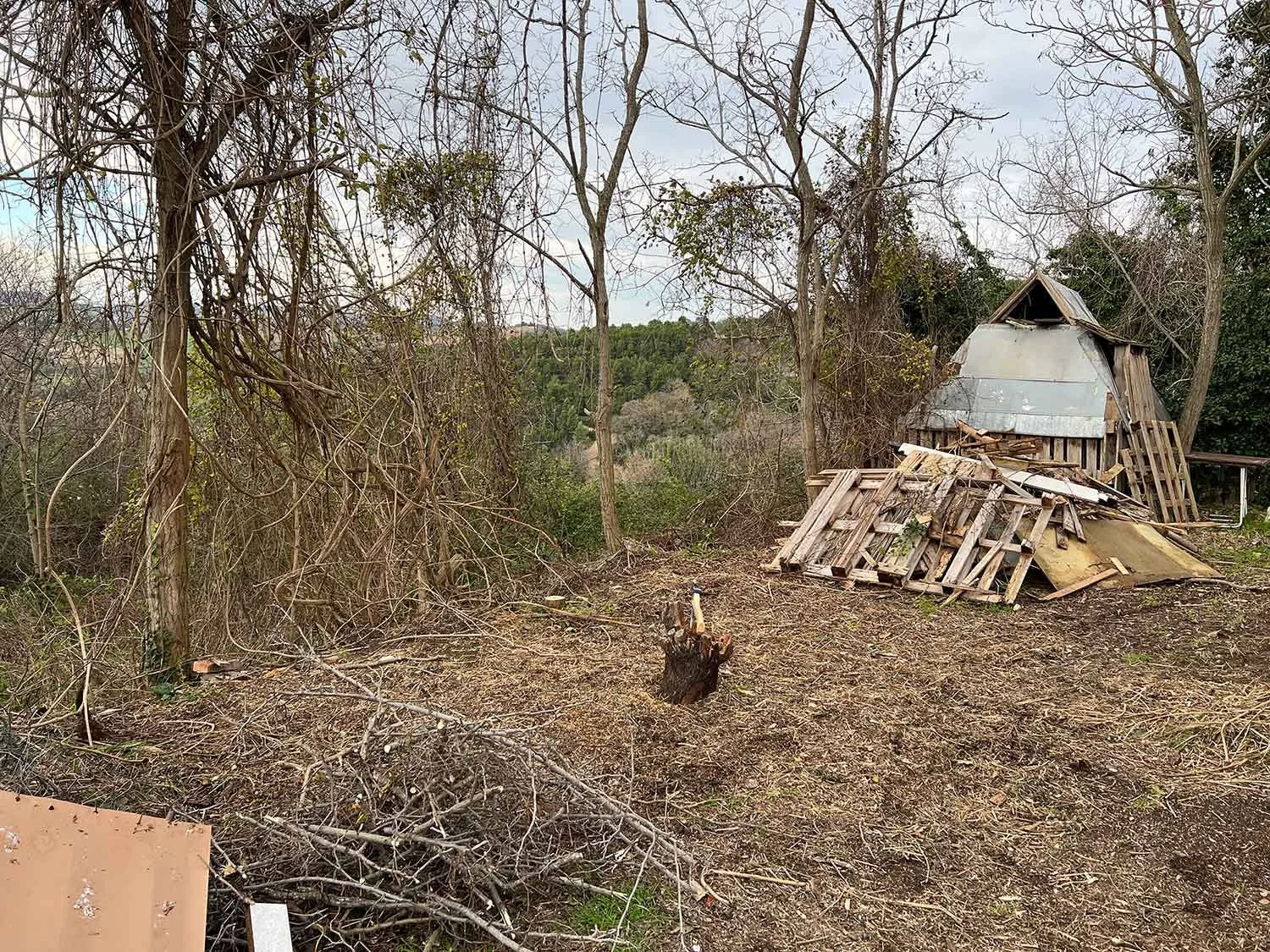 Local Bizzarro Conero Film Adv Festival