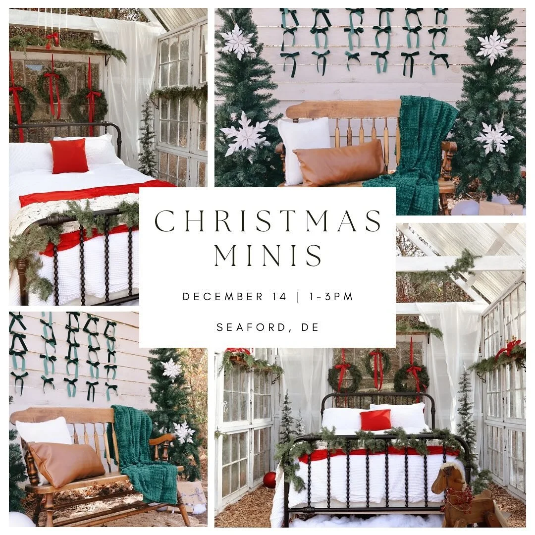 Christmas Minis are &hellip;. LIVE 🎄✨
 
December 14 | Jasper Acres, Seaford DE

$165 that includes 10 images for 15mins!

*All galleries will be delivered within one week* 

Click the link in my bio to book! 👇🏼
https://book.usesession.com/s/5x2_ak
