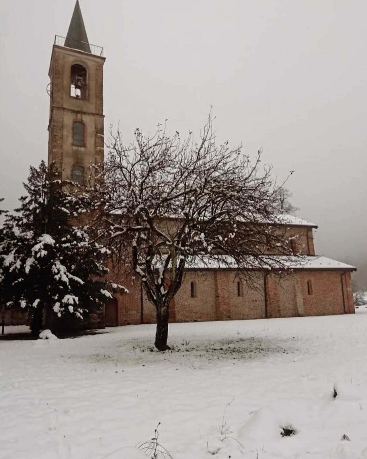 Andare a letto in un mondo e svegliarsi in un altro completamente diverso ❄️🎄⛄️
#primaneve #nevica #neveinliguria #liguriancoast #ligurian_places #liguria_mania__ #genovamorethanthis #entroterraligure #cittametropolitanagenova #vitadicampagna #magia