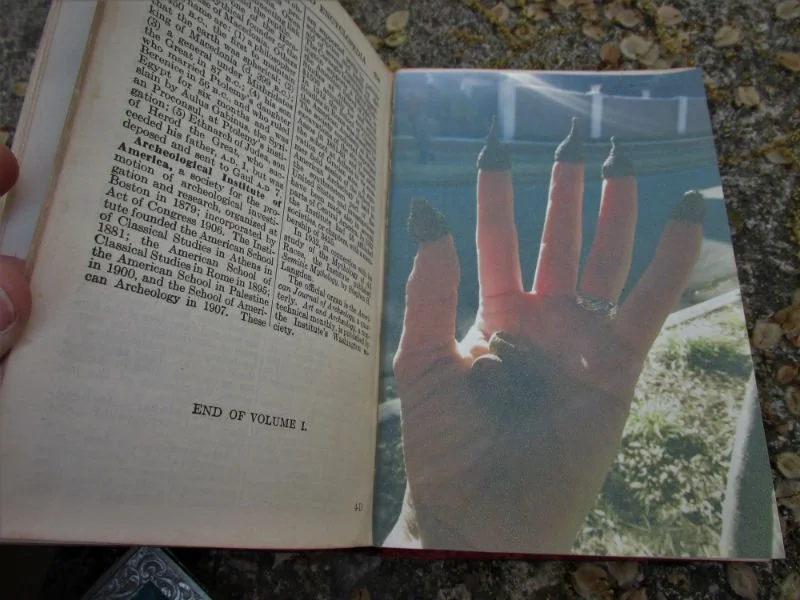Acorn Book, detail
