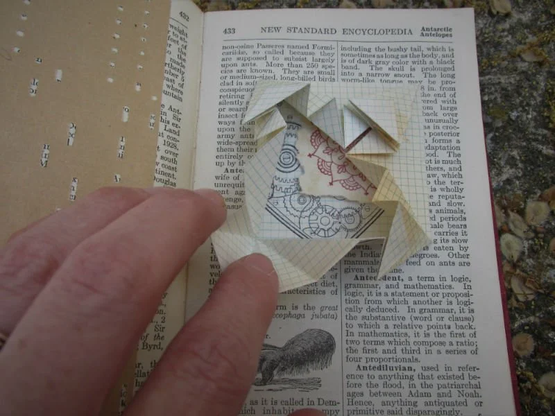 Acorn Book, detail