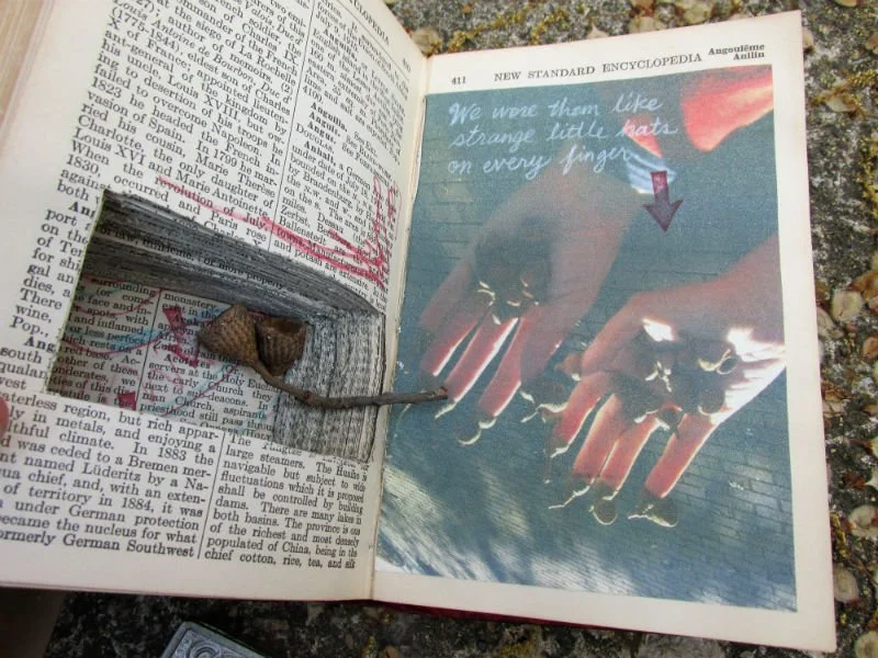 Acorn Book, detail
