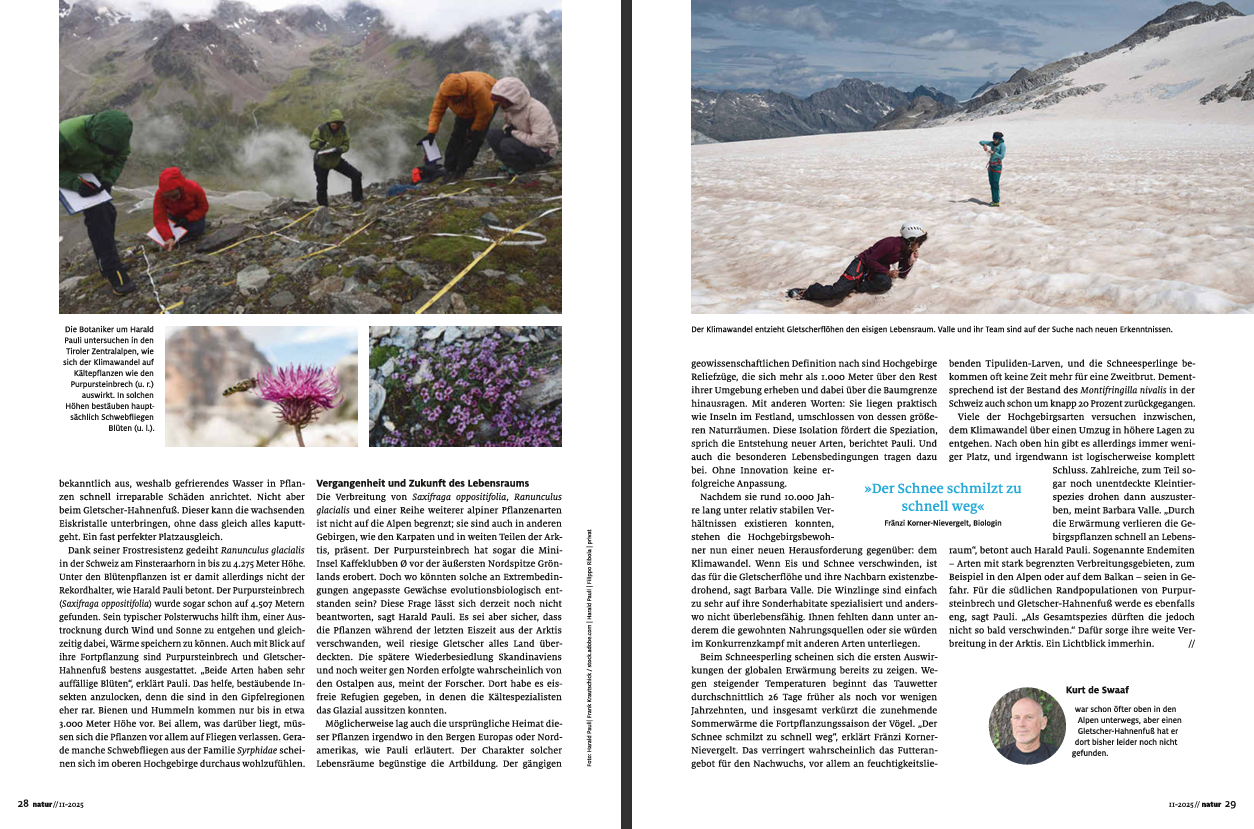 Screenshot 2025-11-05 094225.png