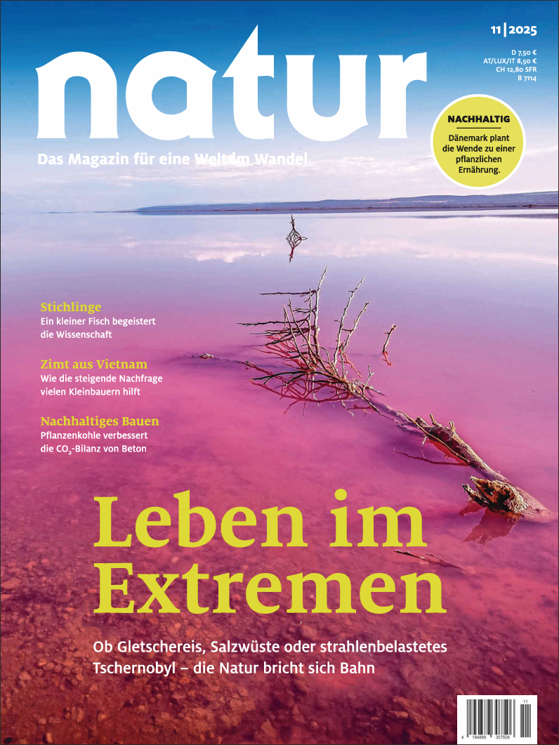 Screenshot 2025-11-05 094124.png