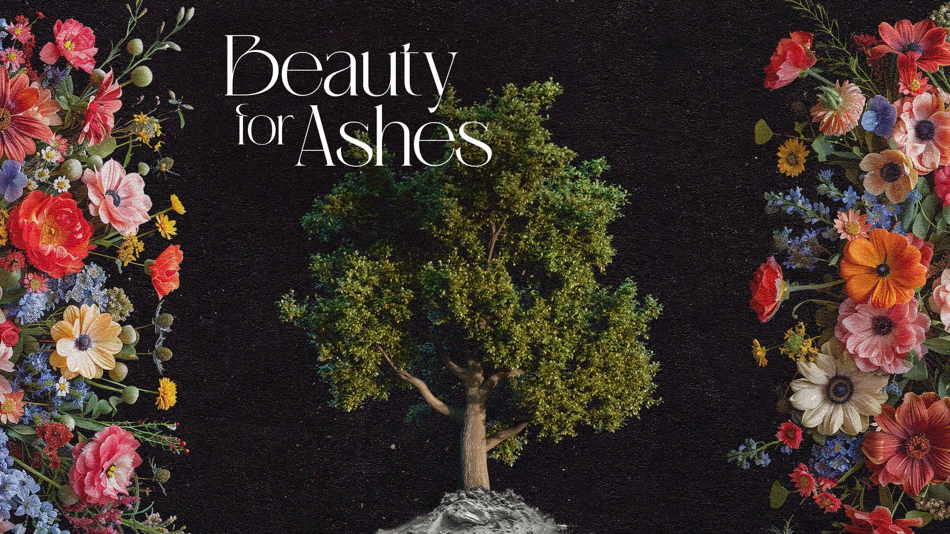 beautyforashes_1920x1080_screen-title.jpg