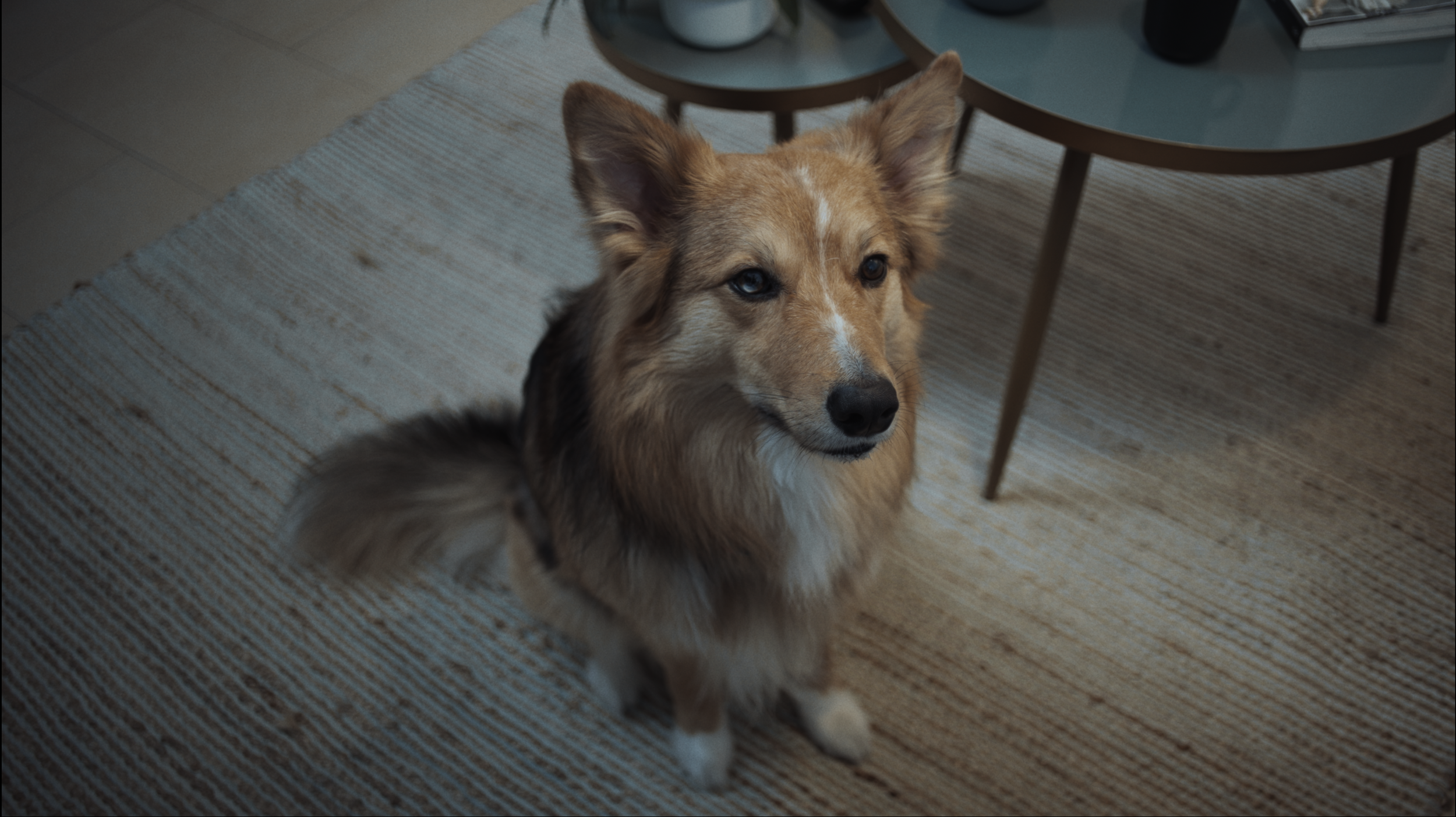 Screenshot 2026-03-24 at 21.48.51.png