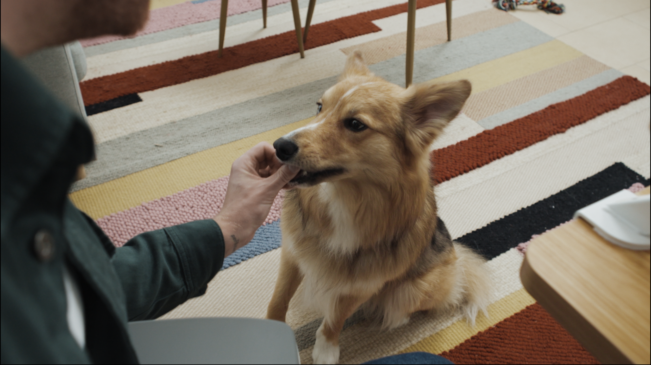 Screenshot 2026-03-24 at 21.52.06.png