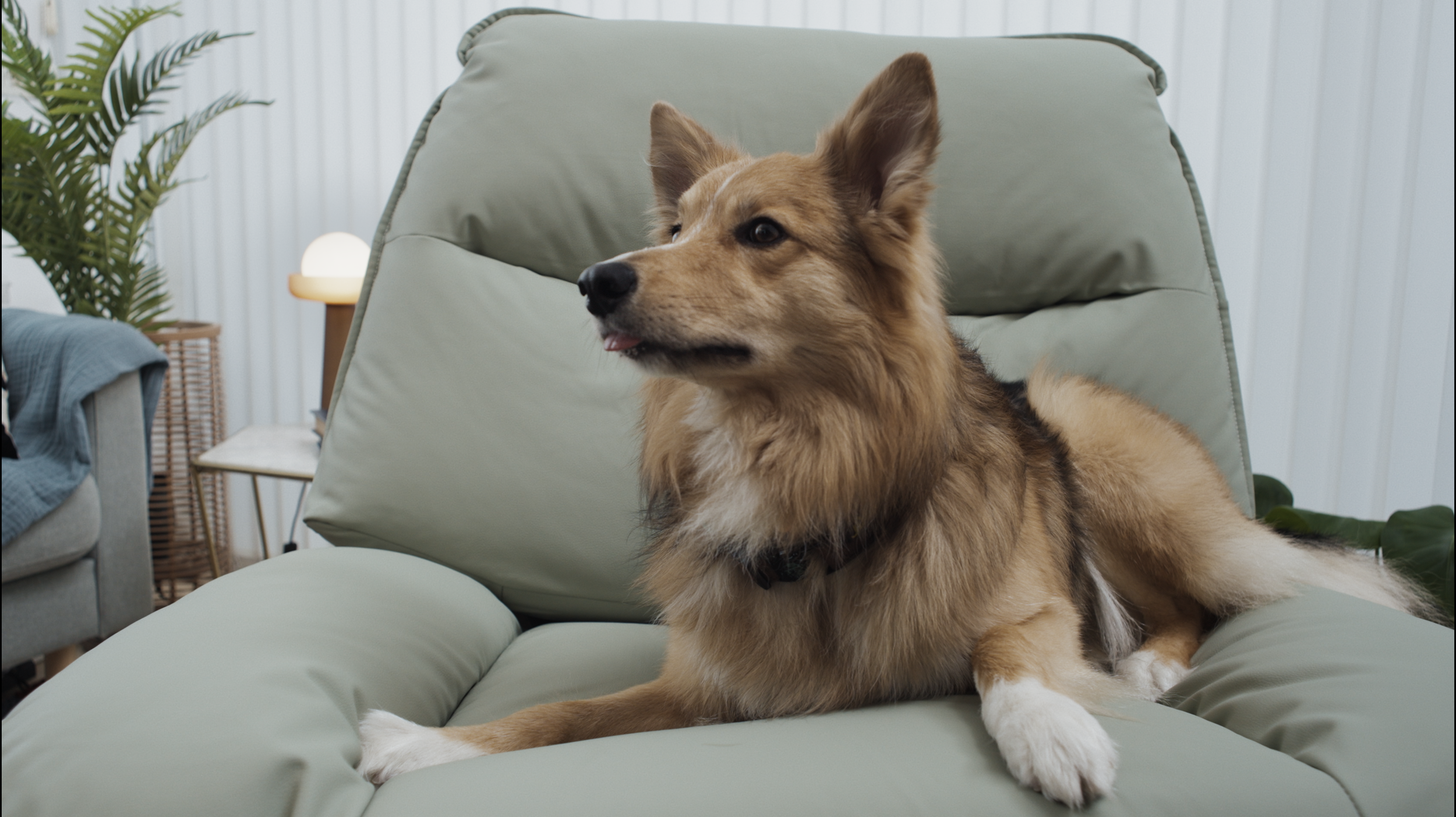 Screenshot 2026-03-24 at 21.50.22.png