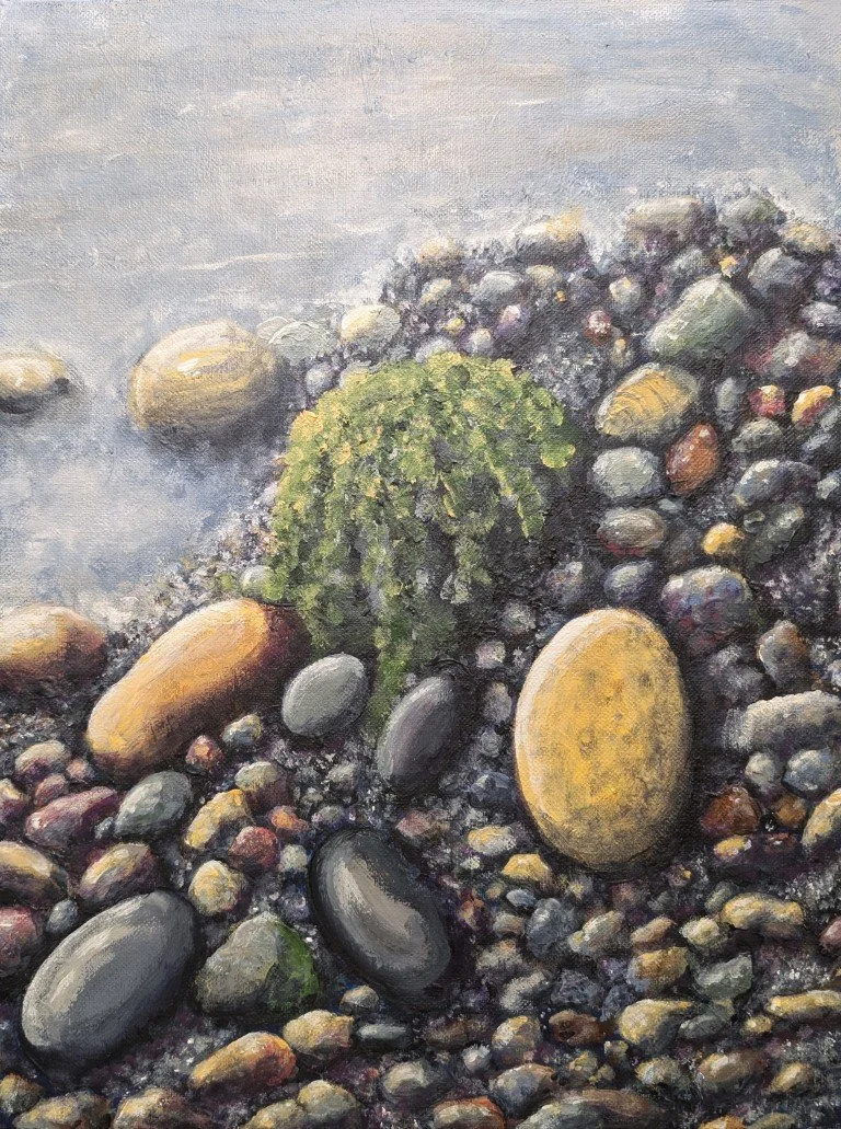 Painting of beach rocks and green seaweed on a wet shoreline.