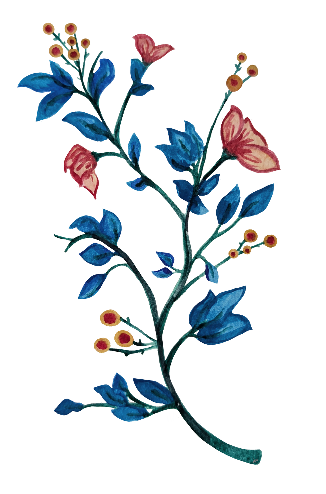 Watercolor illustration of a flowering branch with blue leaves, pinkish flowers, and small yellow and red berries.