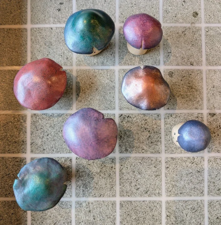 Moodshrooms - HVR Art.jpg
