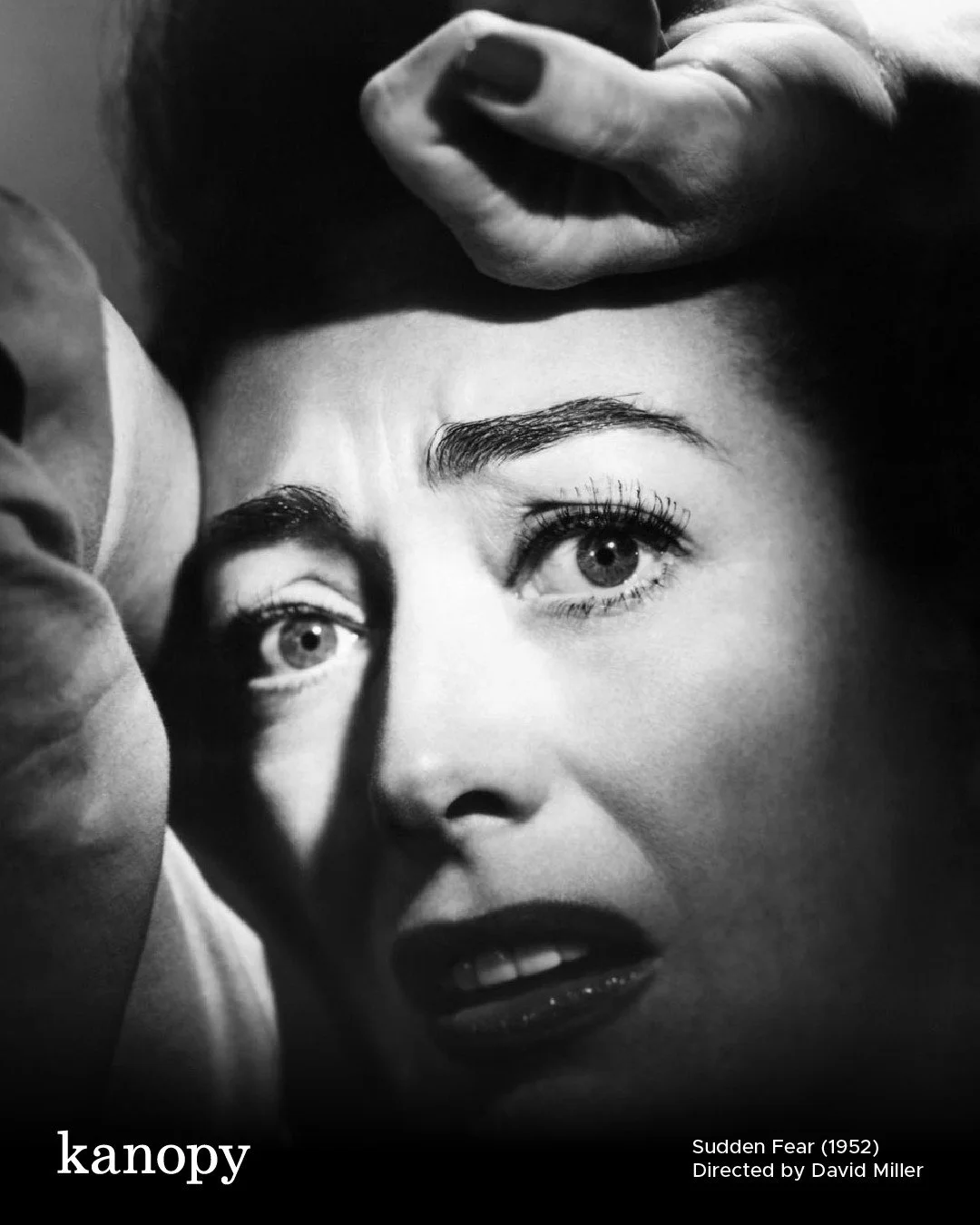 🕵️&zwj;♂️ Step into the shadows this November! Celebrate Noirvember with Cotuit Library by streaming Kanopy&rsquo;s collection of classic and modern noir films &mdash; free with your library card!

📅 All month long
📍 Watch from home via Kanopy
Nee