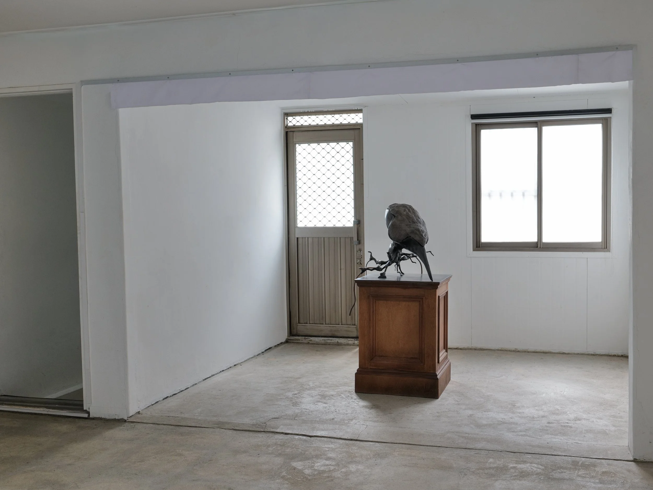 L2300701.JPG