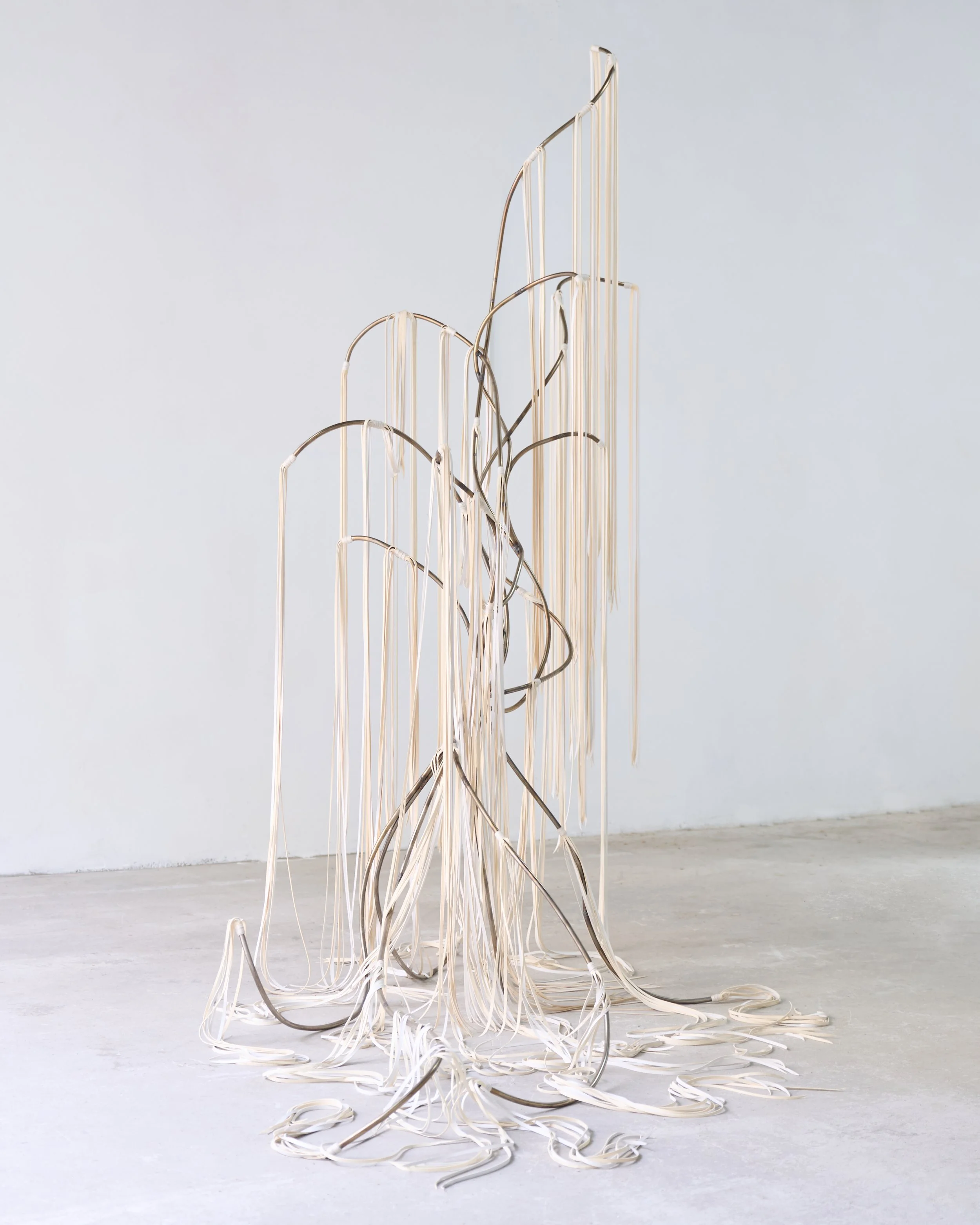 banyan_047_large.jpg