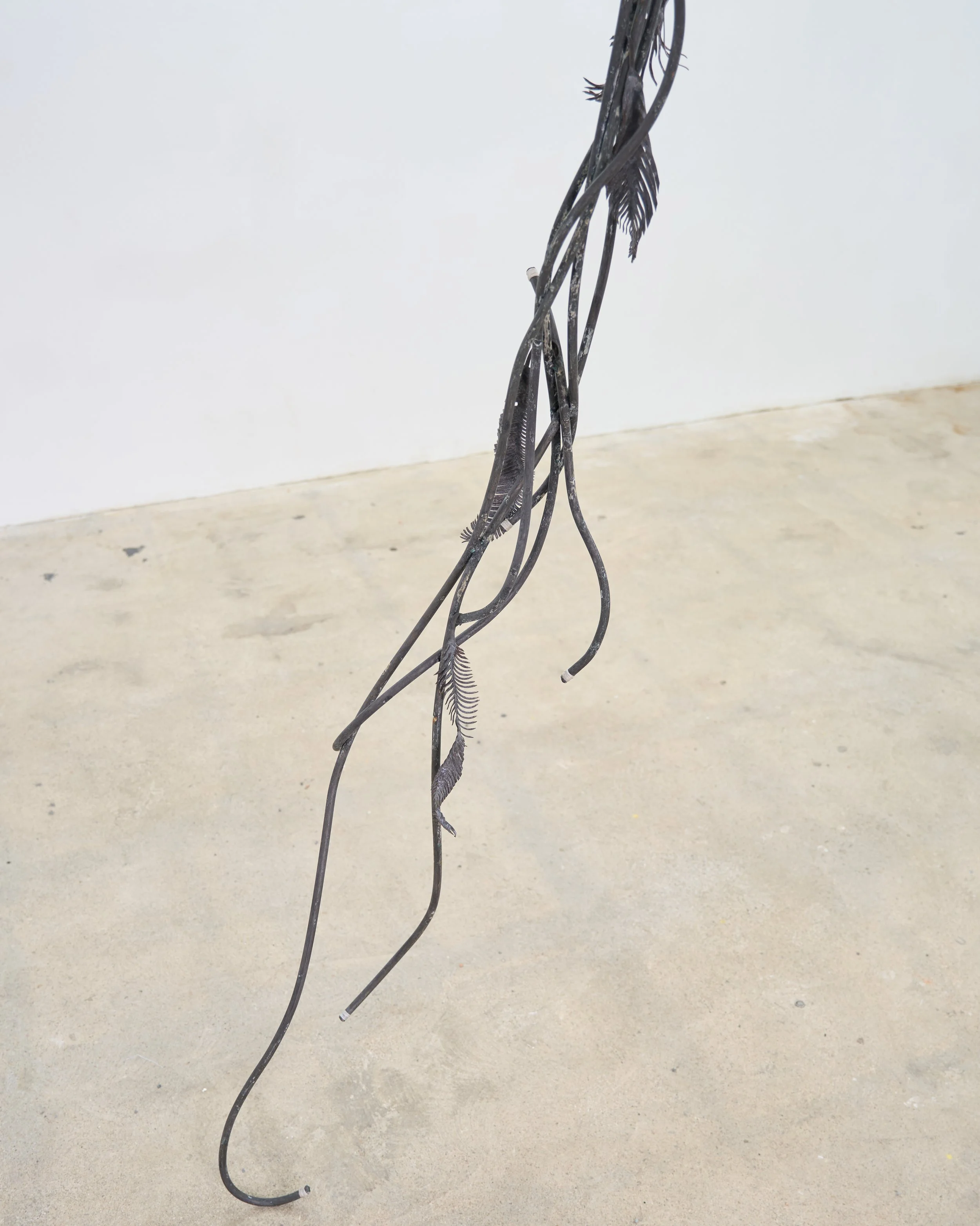 ft_040_large.jpg