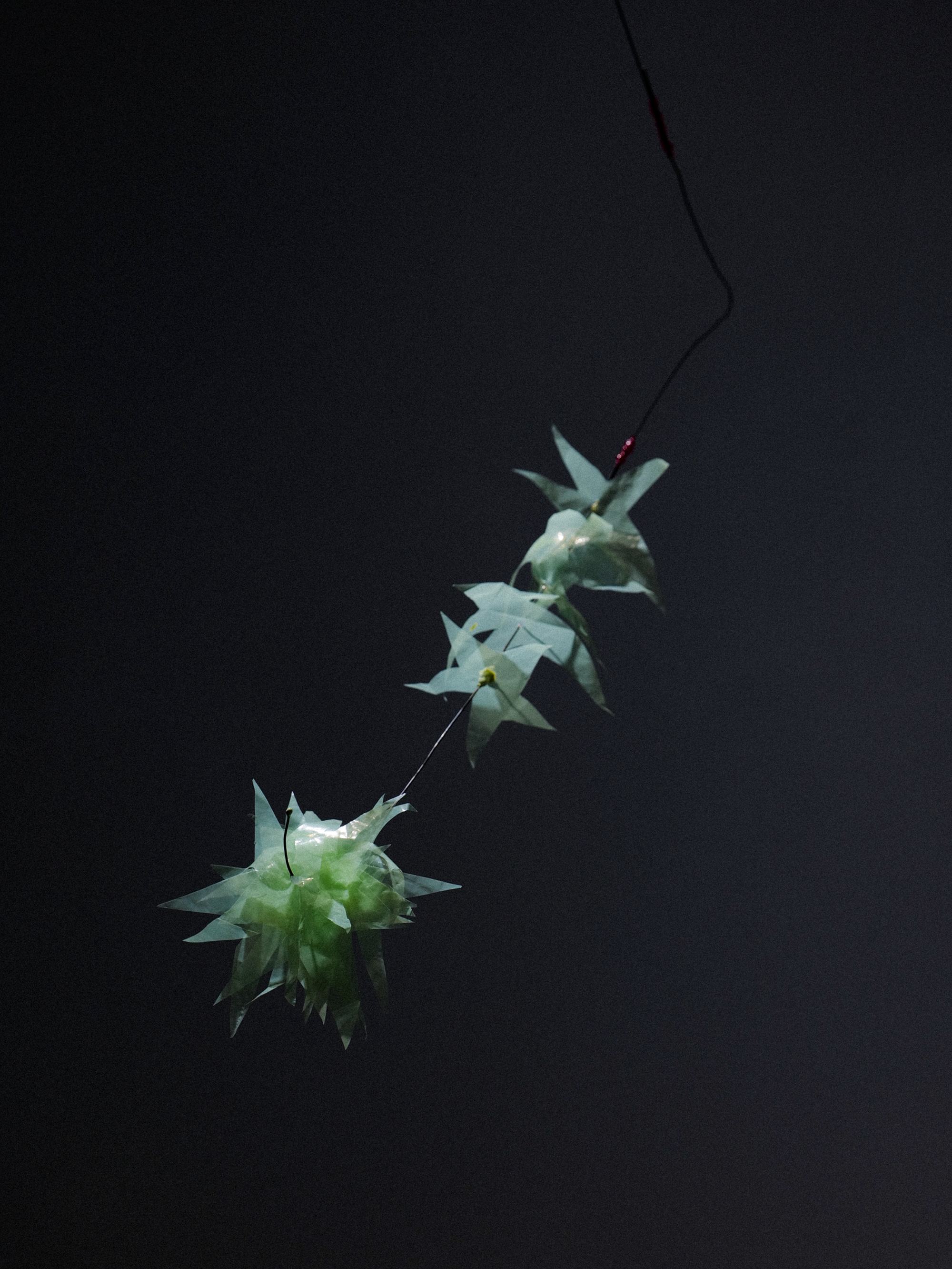 L1790604.png