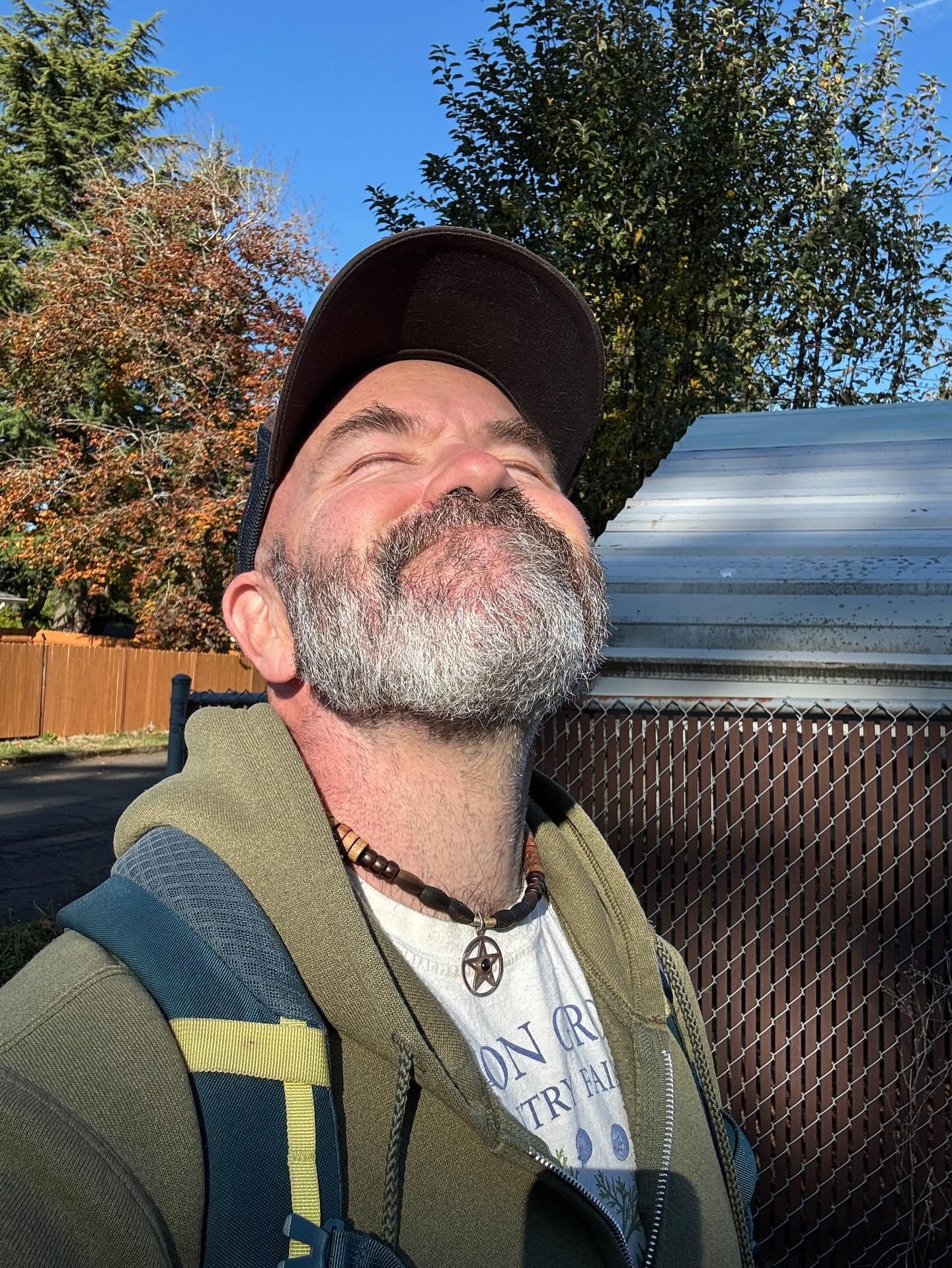 No, do not look directly into the sun. 

However, getting daylight on your face, specifically into your eyes, everyday, matters. 

Giving your eyes a break from screens and scrolling, noticing the outside world, and letting light into our eyes has be