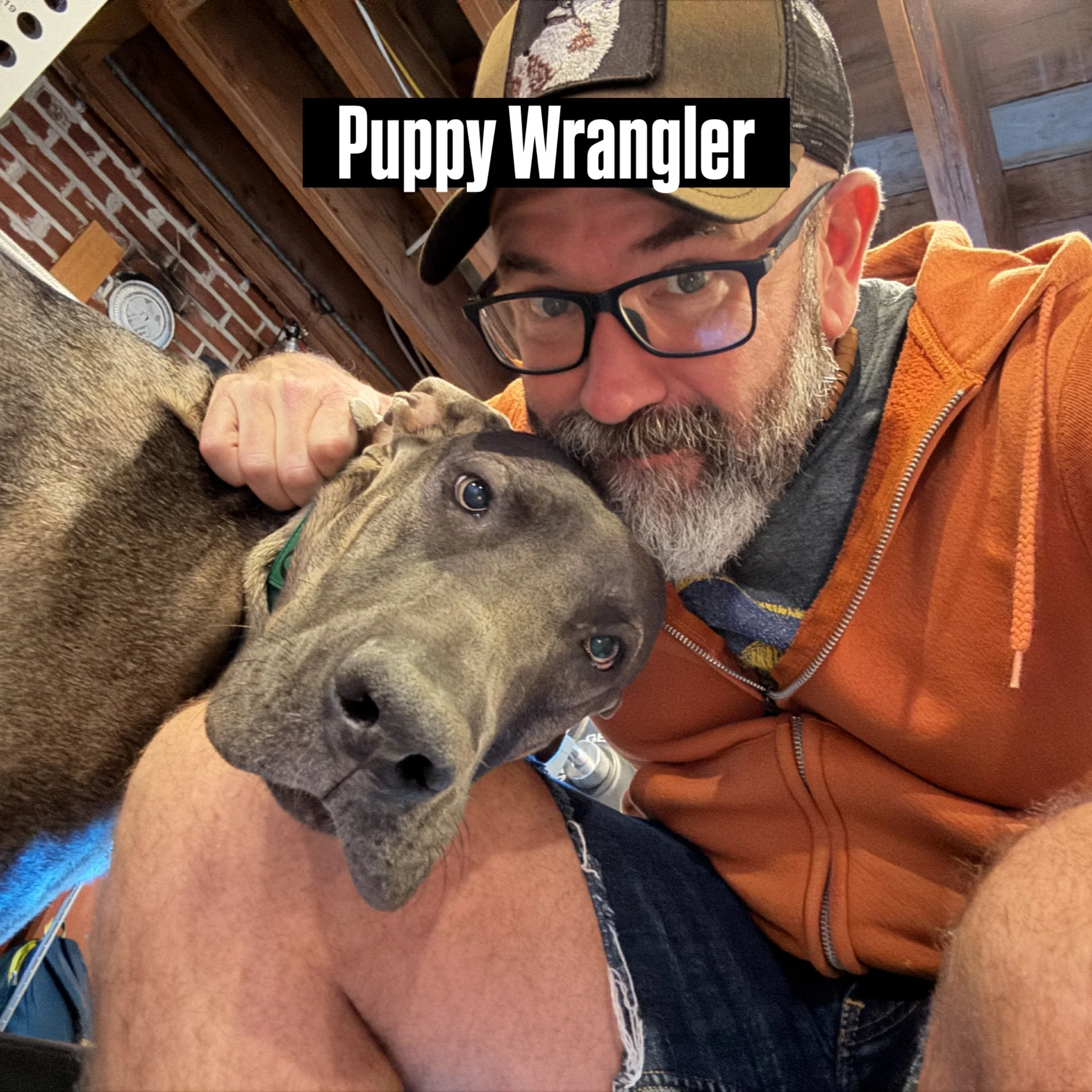 This gorgeous canine loves to be part of the fun when I&rsquo;m with a client in their basement home gym. To keep him safe while my client does his reps, I get to do a little distraction action, that usually involves kisses, hugs, and awkward selfies