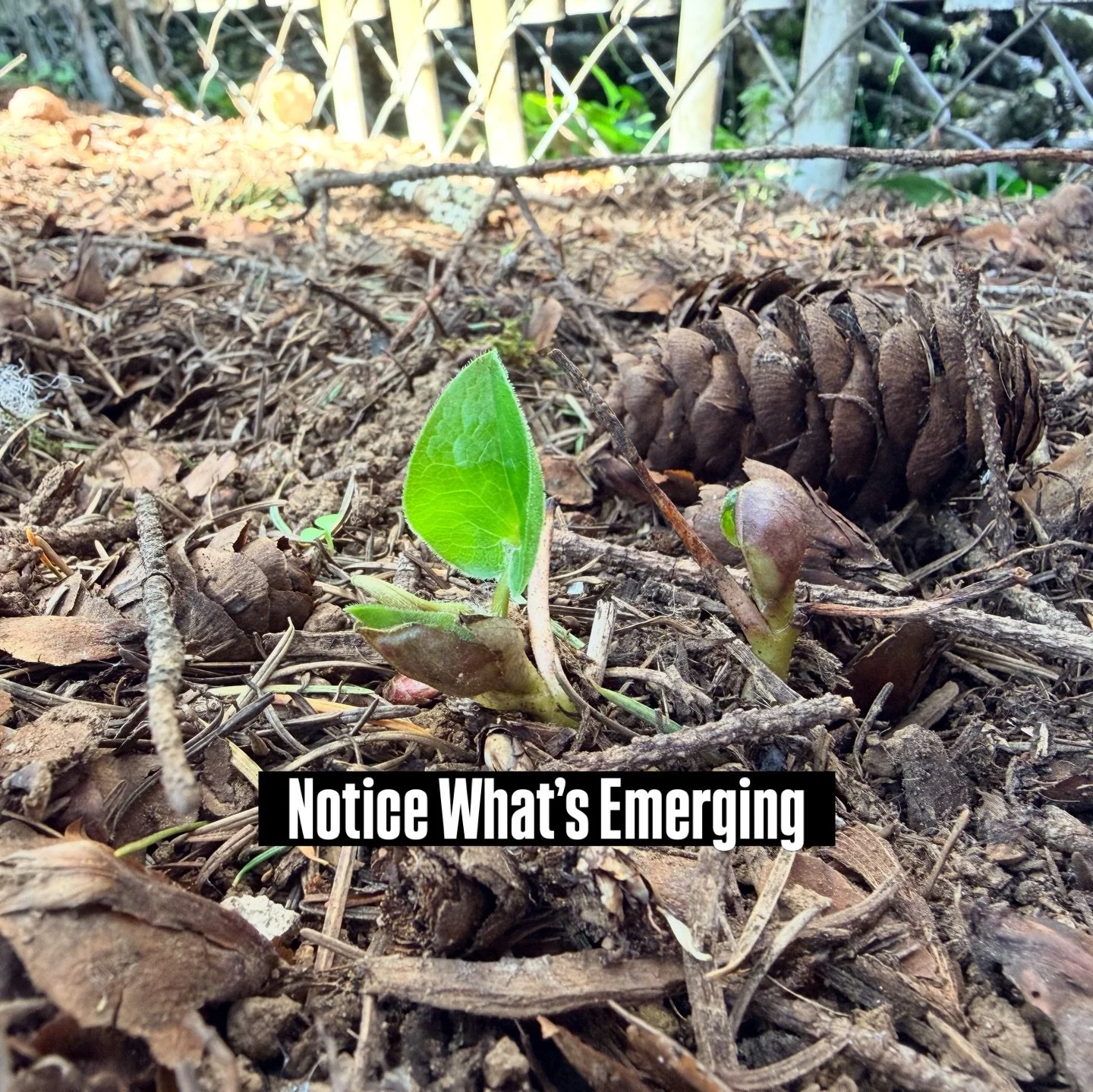 The same habits that you laid down at New Year might need a revisit. 

The days are longer (up here in the Northern Hemisphere, anyway). 

Your routine may want a refresh, a re-focus, a change. 
From the foods you eat, to the plan at the gym, to how 