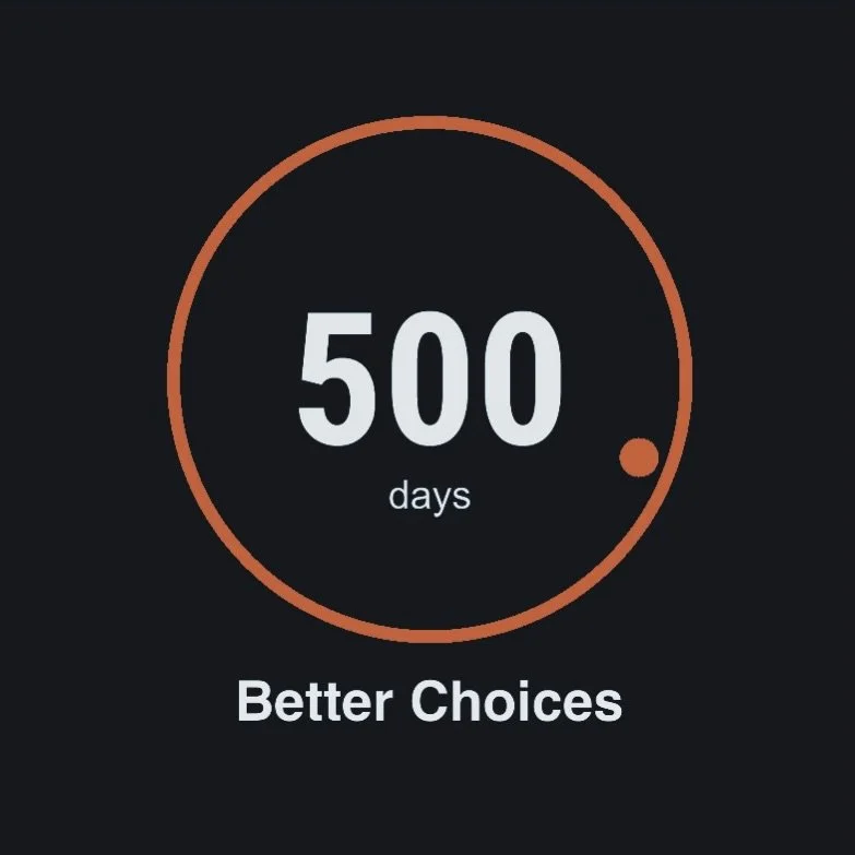Today marks day 500 of my sobriety.

Carry on 🧡

#sober
